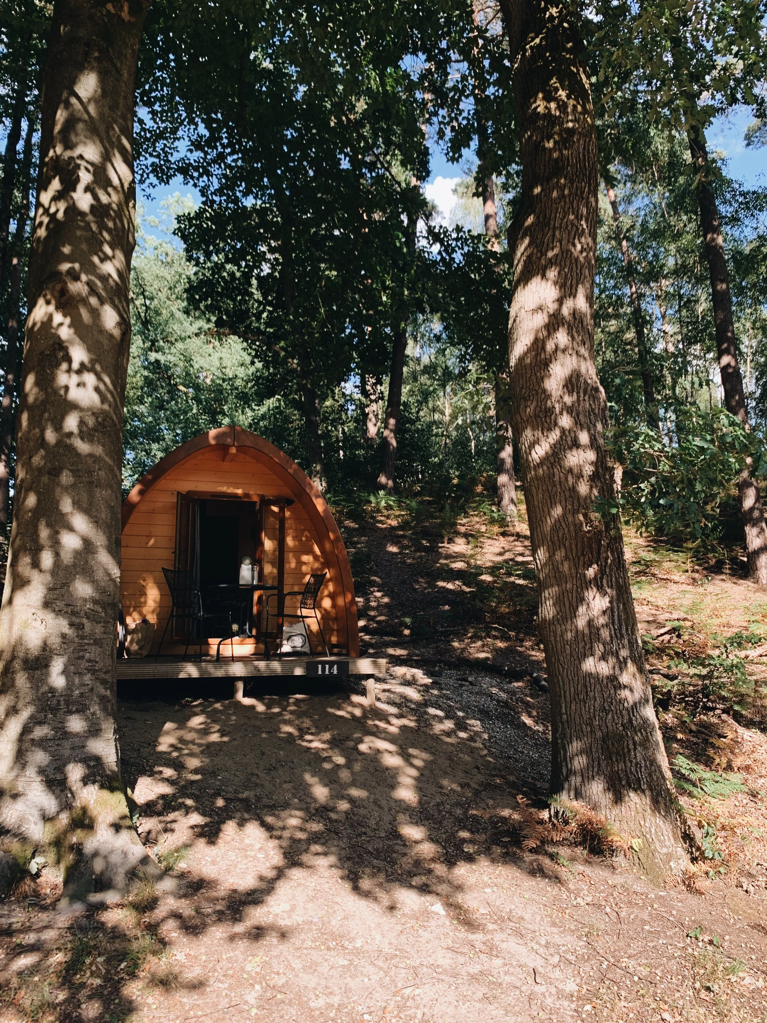 Bloeiende heide en Veluwse buitenlucht