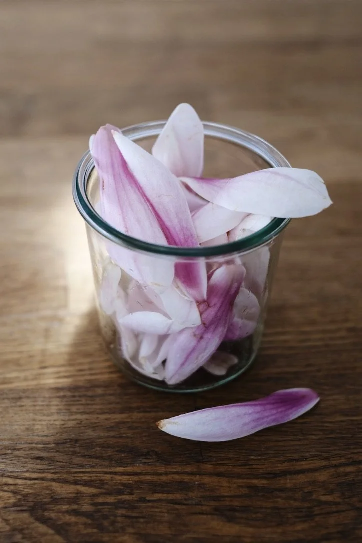 Ingemaakte magnoliabloemen