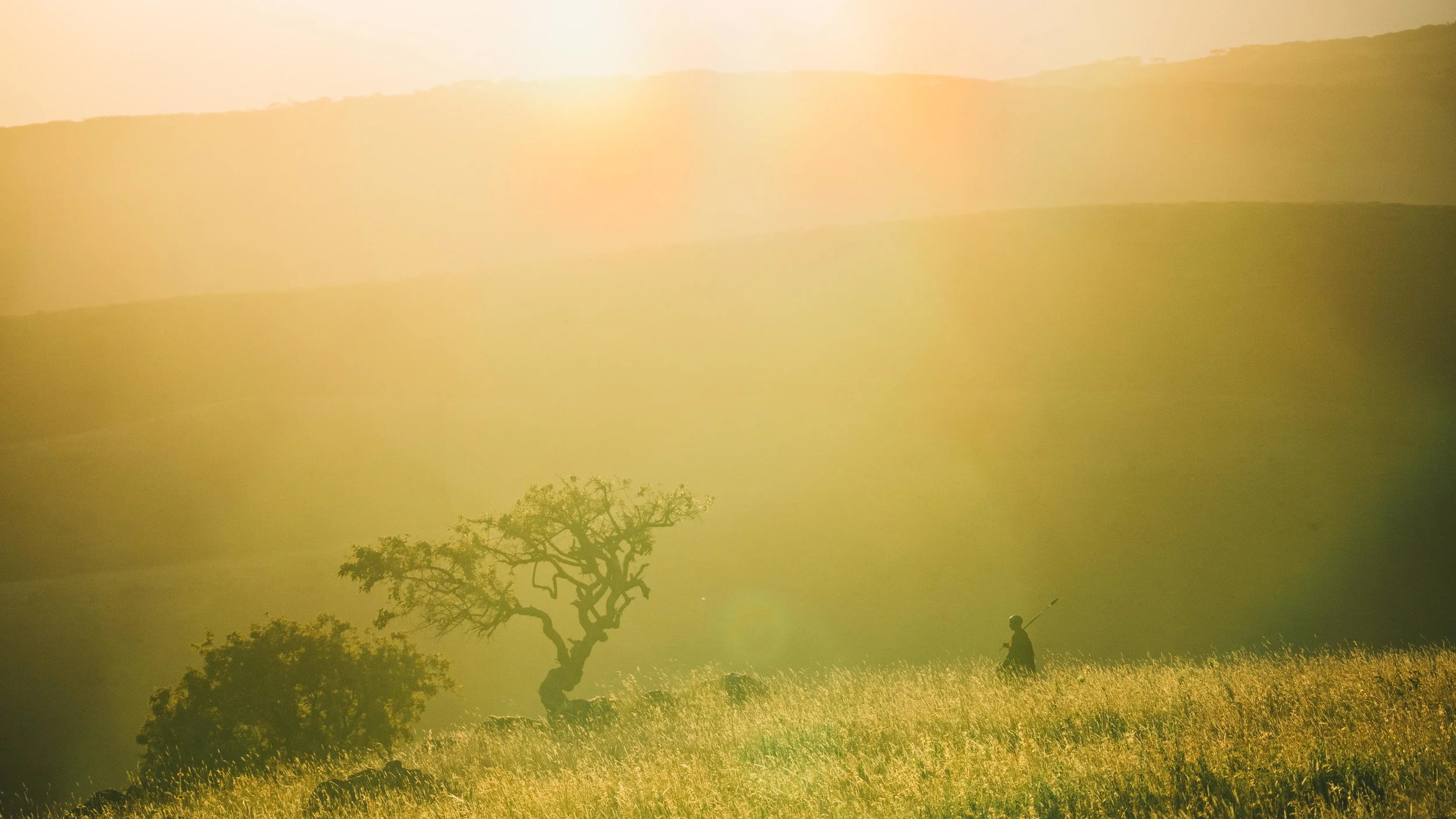 A Maasai in the Ngorongoro Highlands.