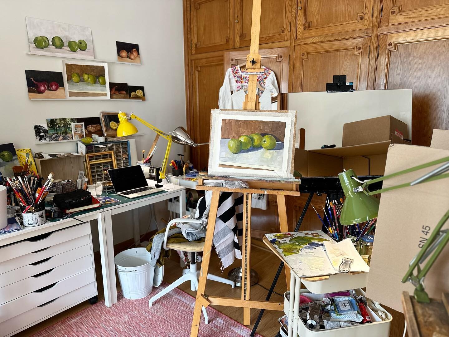 Studio shot