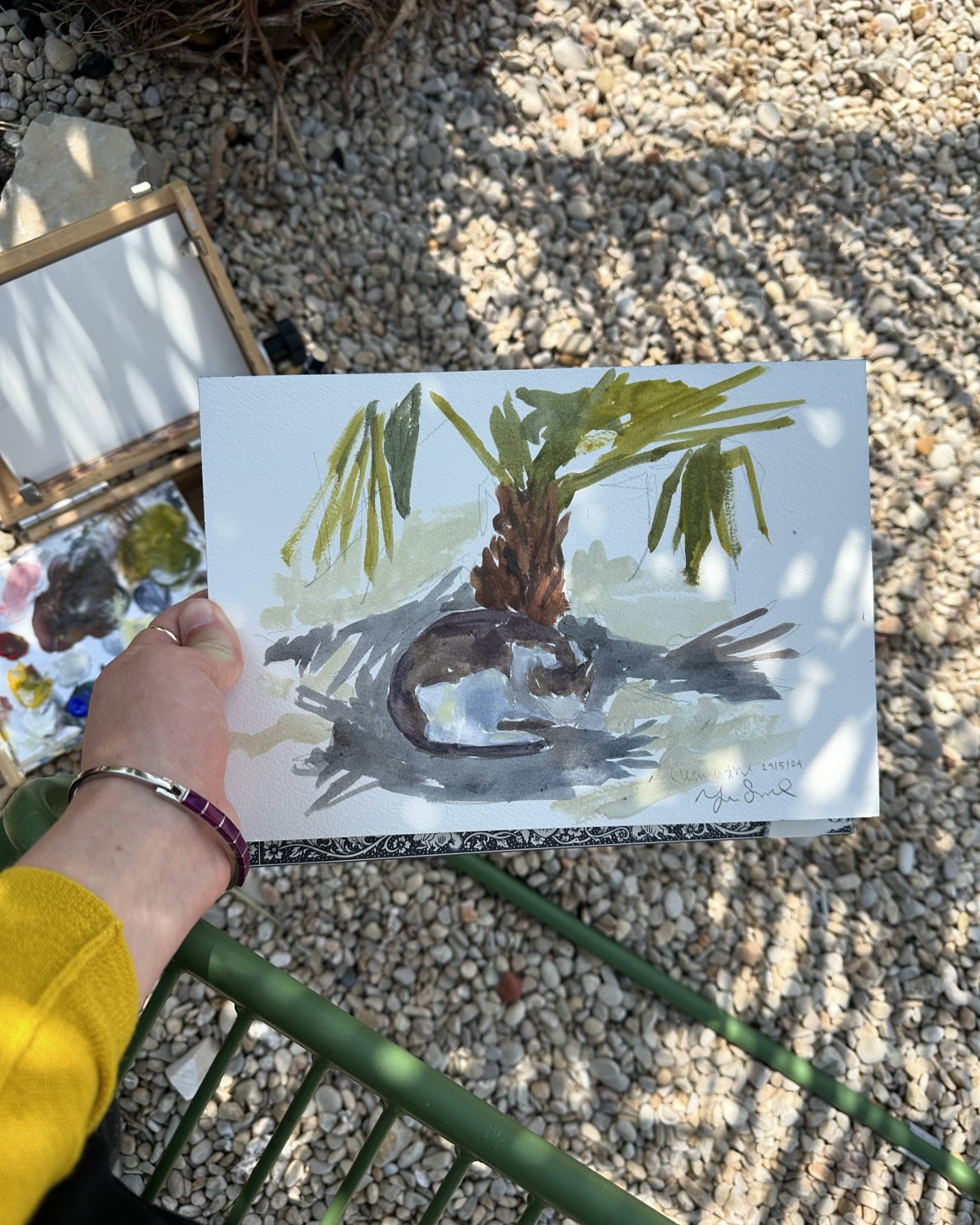 15 minute painting of my colony cat Clementine! That&rsquo;s all she gave me 🌻