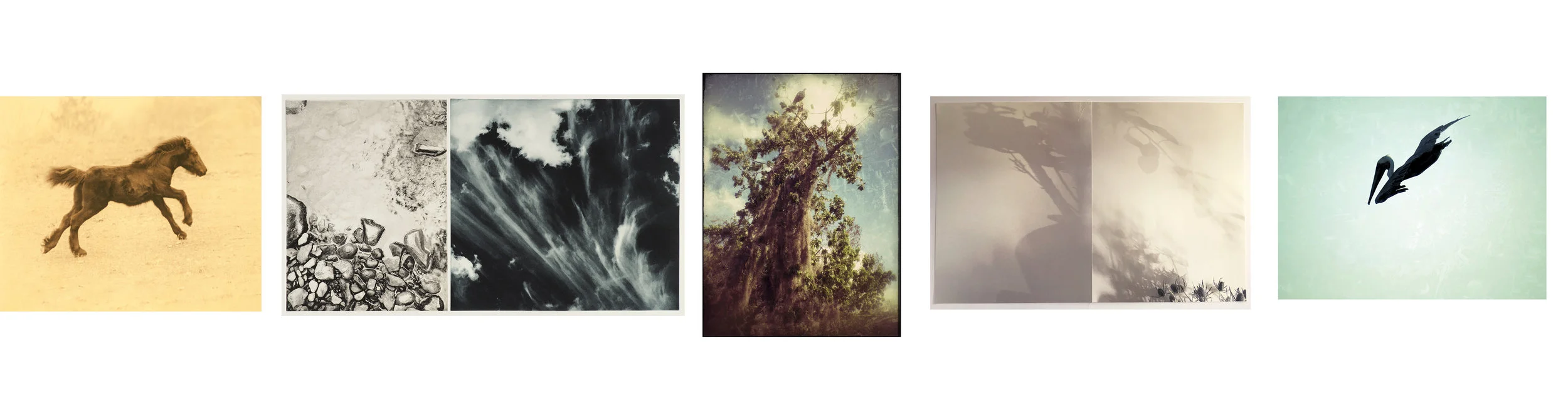 l to r: 1.) Ludington - Zeus , 2019, 2.) Nebenzahl - Fall/Cloud , 2018 3.) Ludington - Vulture , 2019 4.) Nebenzahl - Winter to Spring , 2018 5.) Ludington - Pelican , 2019