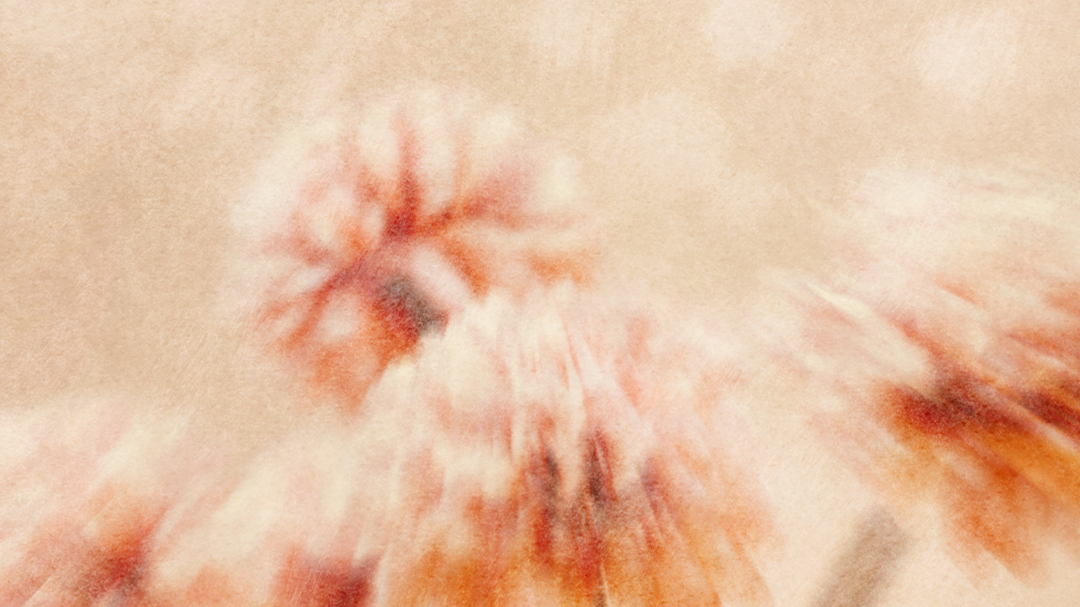 lightbackgroundgirls.png
