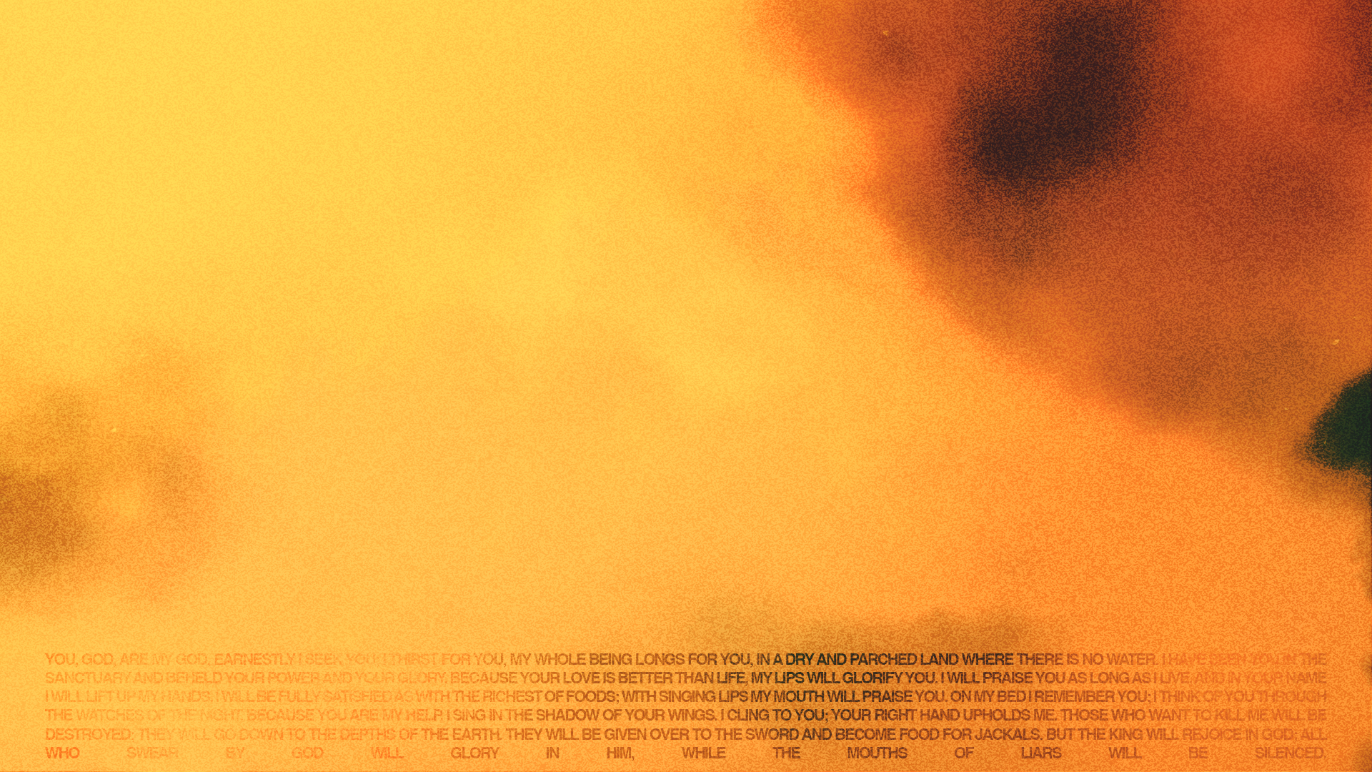 WW-MAIN-Website Background.png