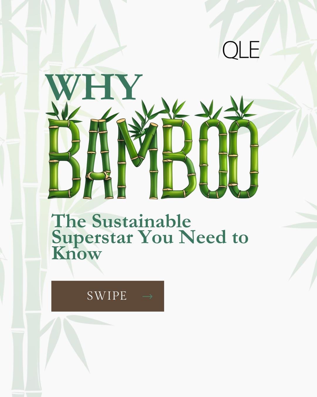 Ready to make a sustainable living switch without sacrificing comfort?

Meet the real MVP of eco-friendly home essentials&mdash;Bamboo! From its lightning-fast growth to minimal water use, bamboo is a natural resource that&rsquo;s kinder to our plane
