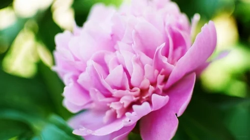 Garden Group cares for church planting