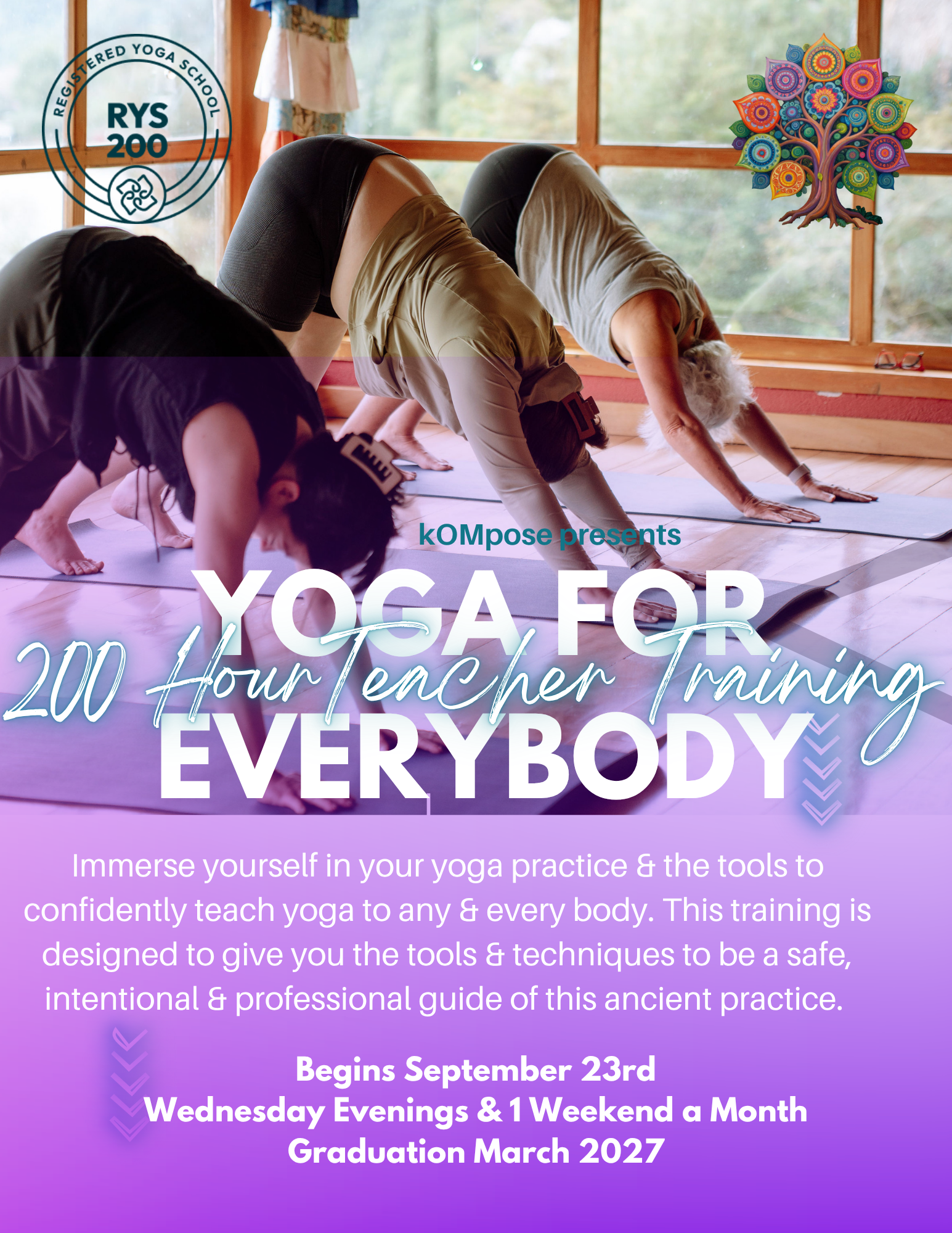 200HR YTT Info Session