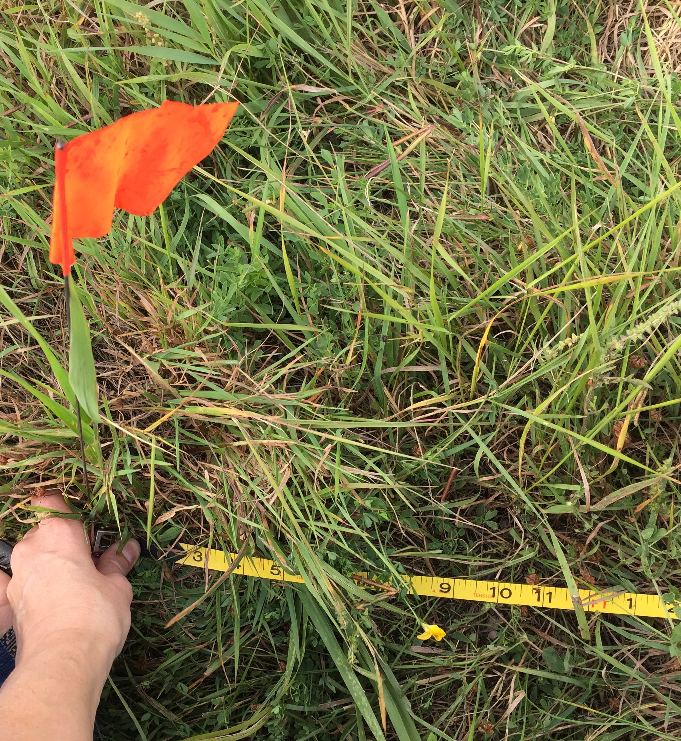 Then came the application to the state for road approval, etc. Then measuring and marking….