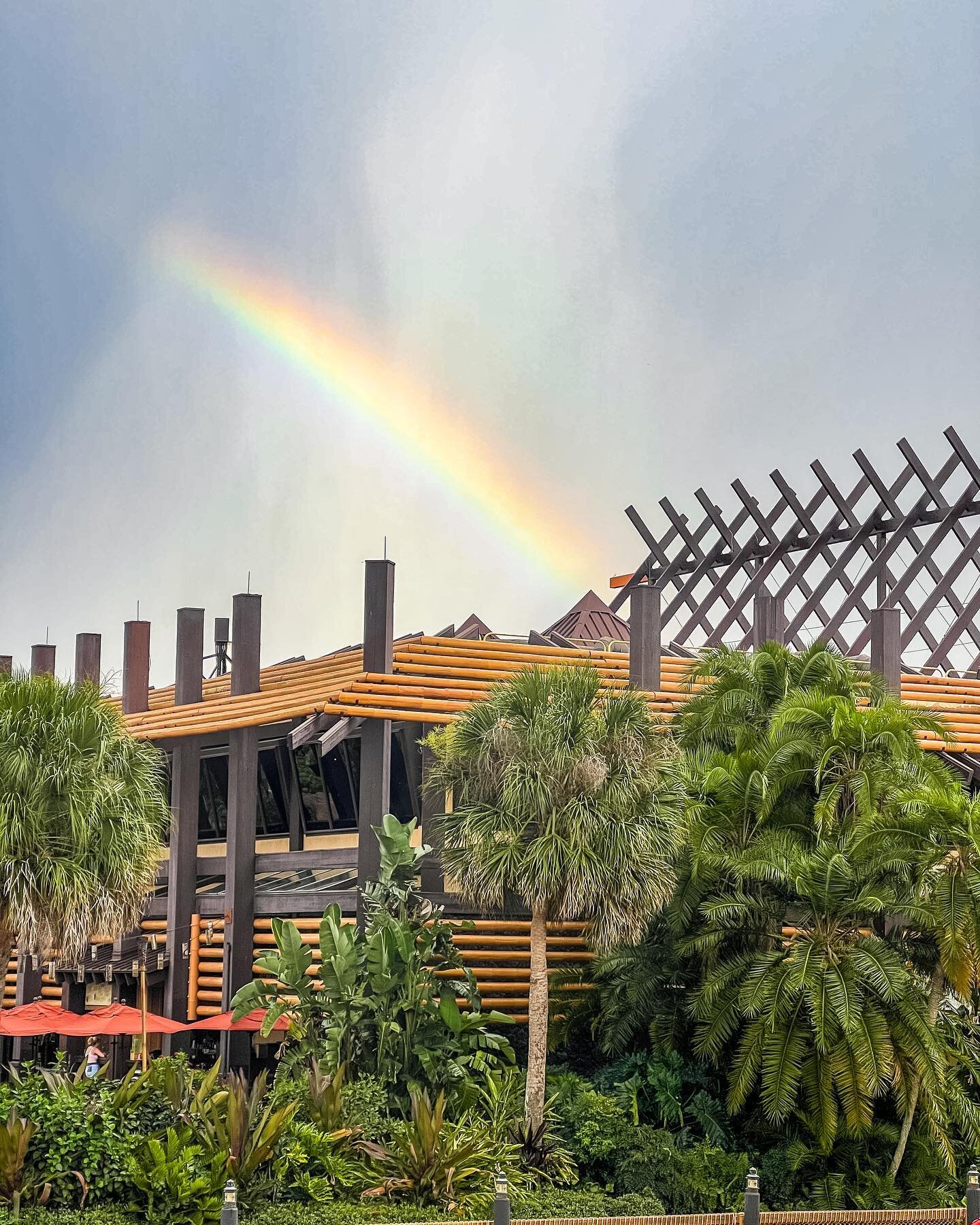 Rainbow at the Poly tonight😍

#waltdisneyworld #polynesian #orlando