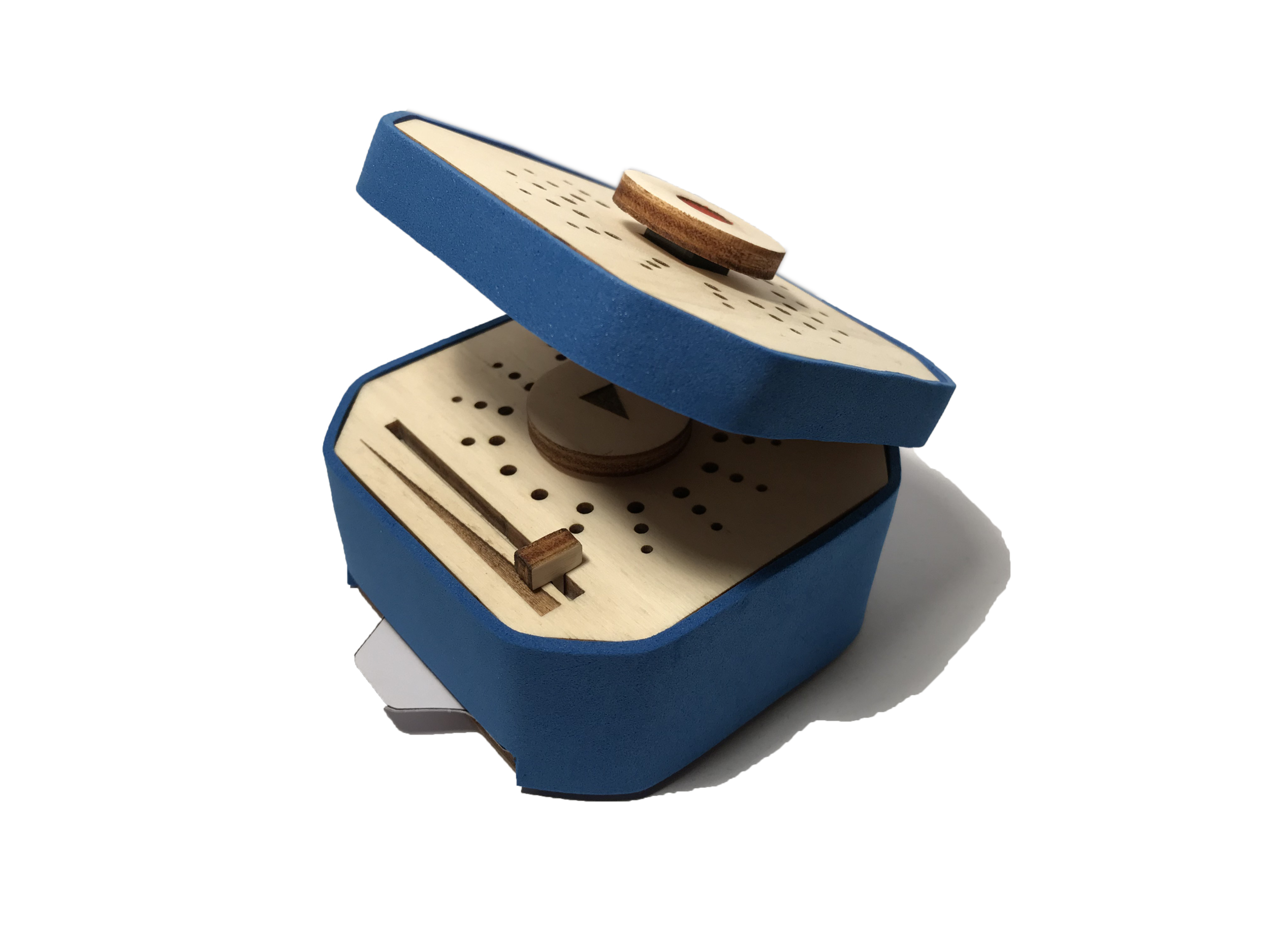   Tellie Application  A so called care-student, assigned to the elderly, has the Tellie Application. With the device and app, the student and elderly can easily send voice messages back and forth. 