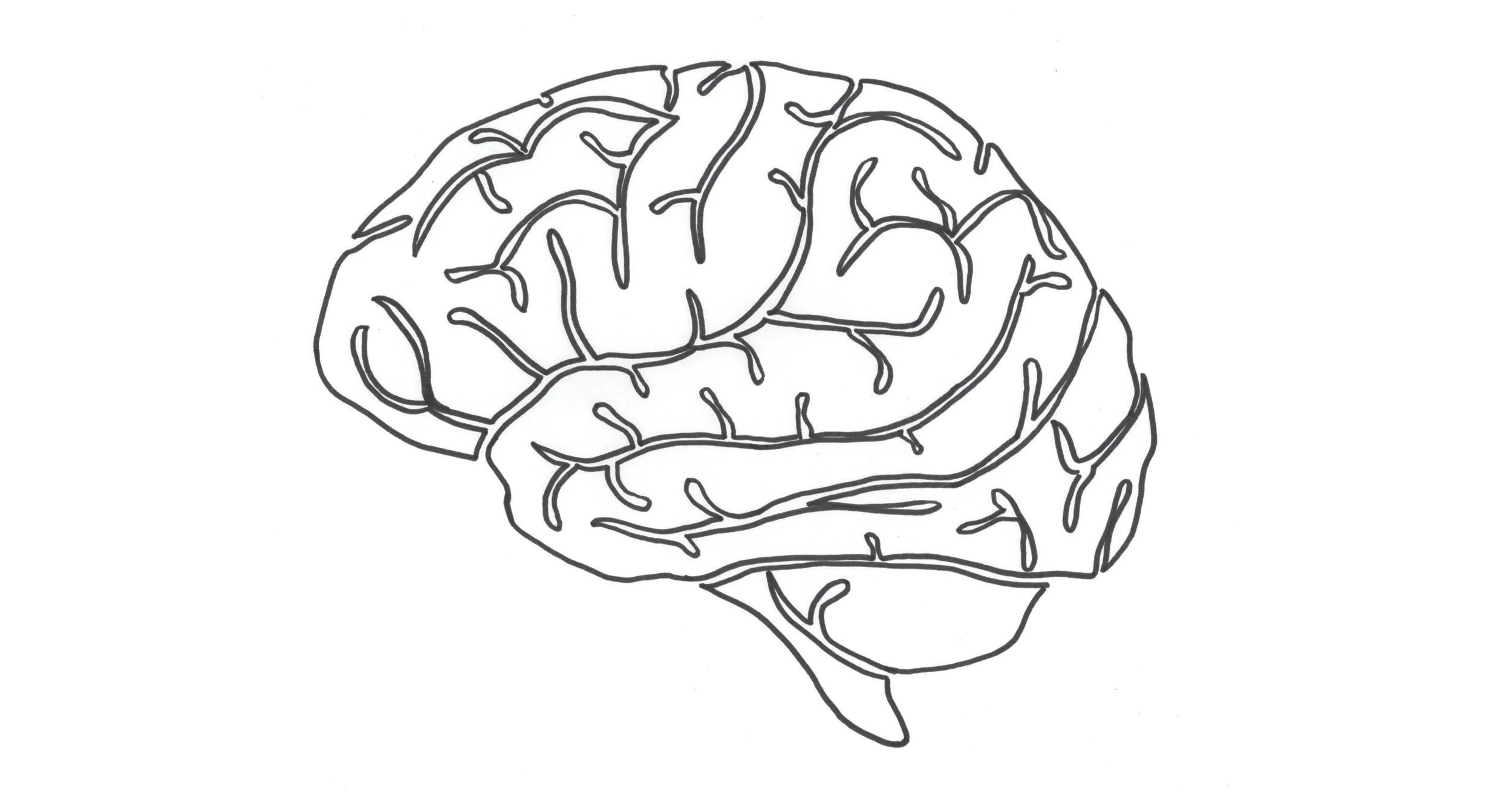Minor Brain & Mind