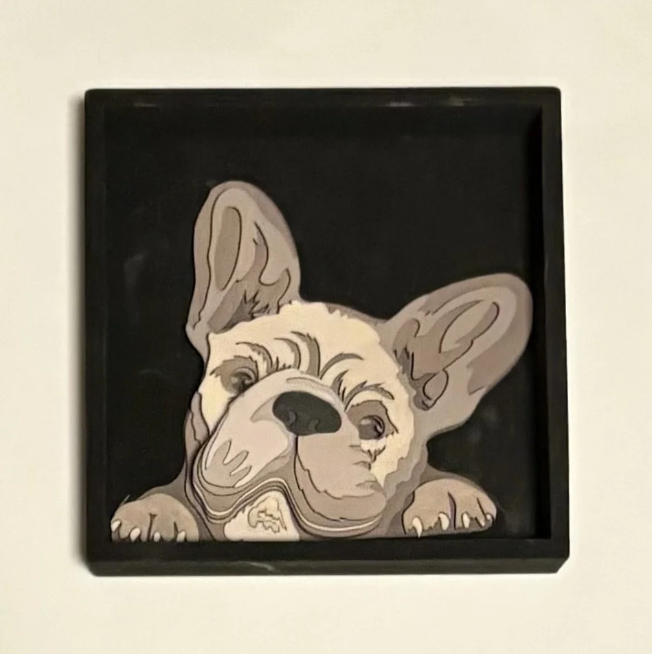 the French Bulldog.jpeg