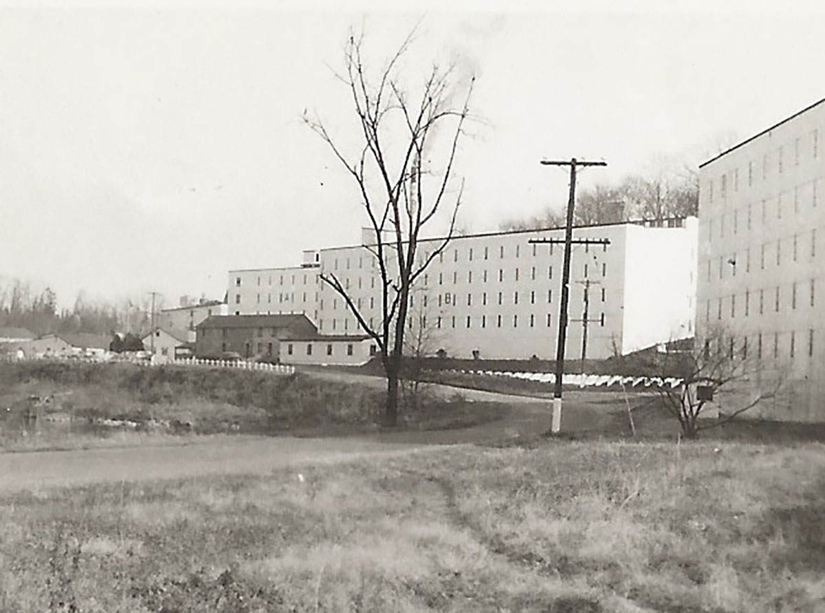 NED_Wight_Distillery_2_web.jpg