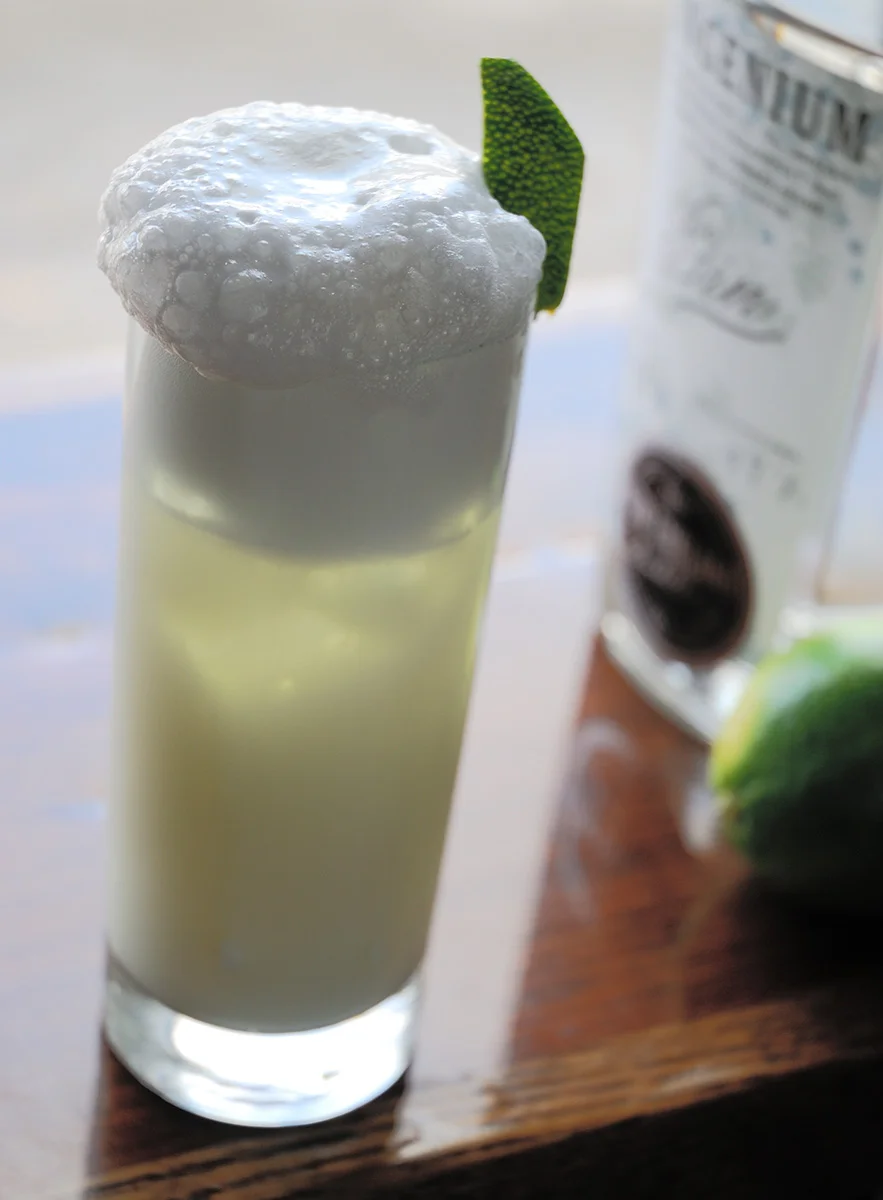 GinFizz3_2.jpg