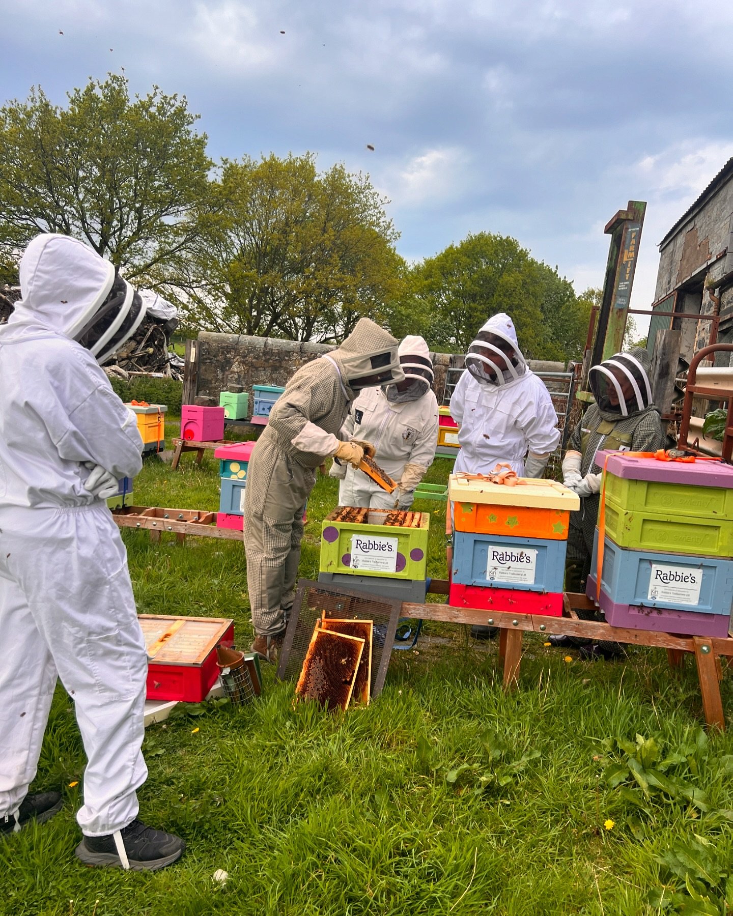 What a perfect day for the first 2024 Beekeeping Experiences yesterday and huge thanks so everyone who came and listened to me talk non stop about bees for 2 hours 😬

The queens behaved and marched around laying, we made a split and even got to see 