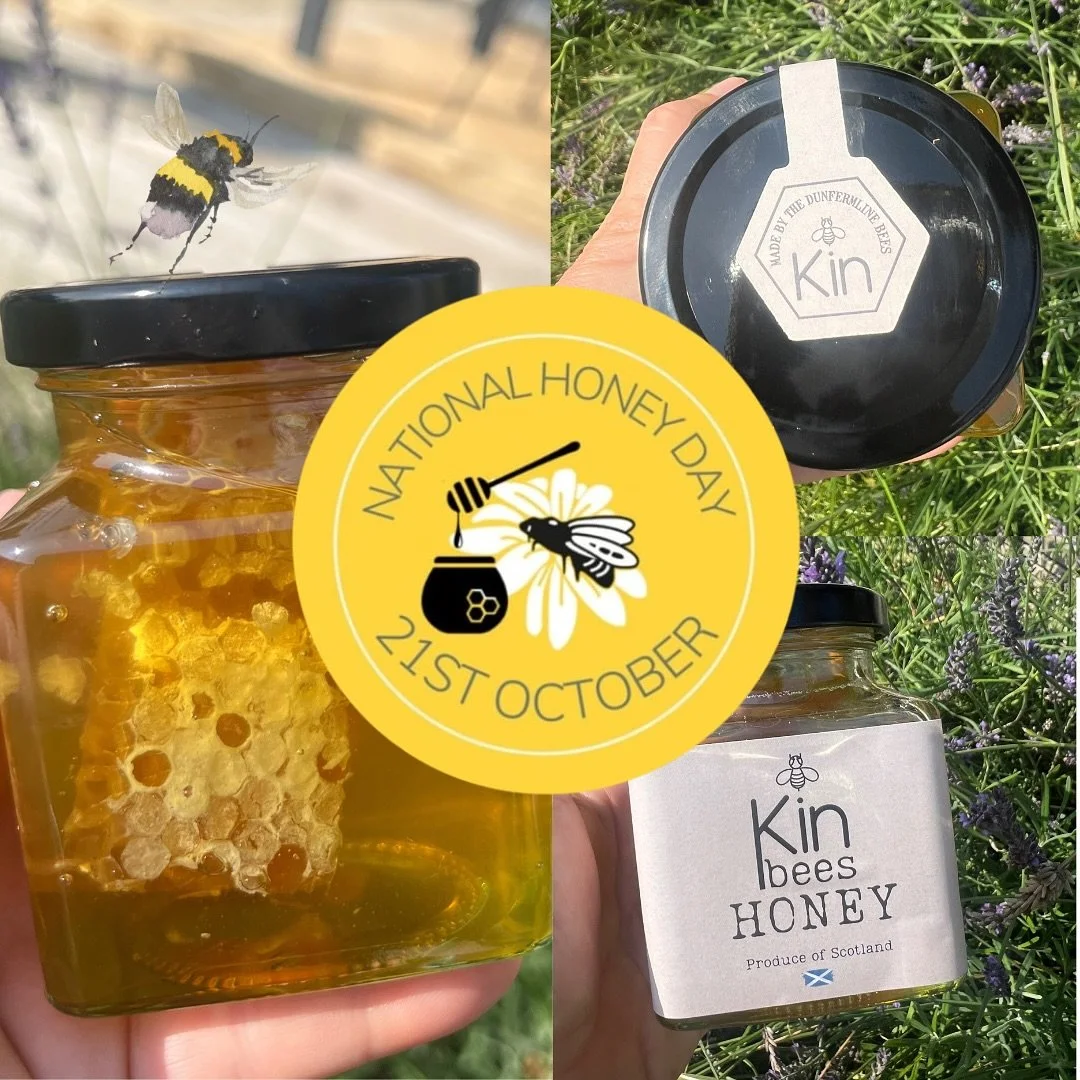 When you think about honey, real honey not the flavoured syrup stuff. It really is some sort of miracle. 

It&rsquo;s packed with live enzymes that your gut biome craves, it has physical properties that support your intestines, it boosts your immune 