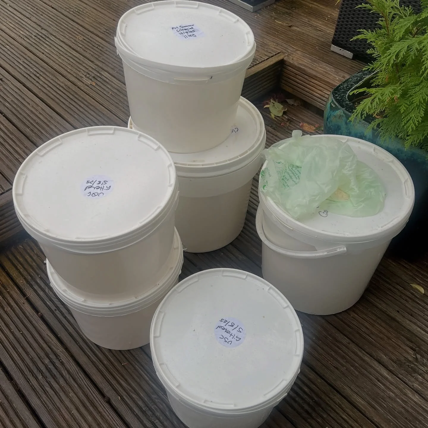 My least favourite beekeeping job 😝

I love harvesting honey and letting it settle. I love jarring and labelling it all by hand. 

I hate washing sticky empty buckets though!! 

Ps. We&rsquo;re down to double digits left of our amazing small batch o