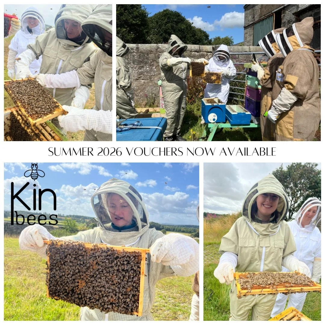 I can&rsquo;t believe our 2026 beekeeping experiences are almost sold out 🤯 we&rsquo;re down to single figures so if you were planning on purchasing a voucher as a Christmas gift then please don&rsquo;t delay!

If you&rsquo;re a group of 6 or more g