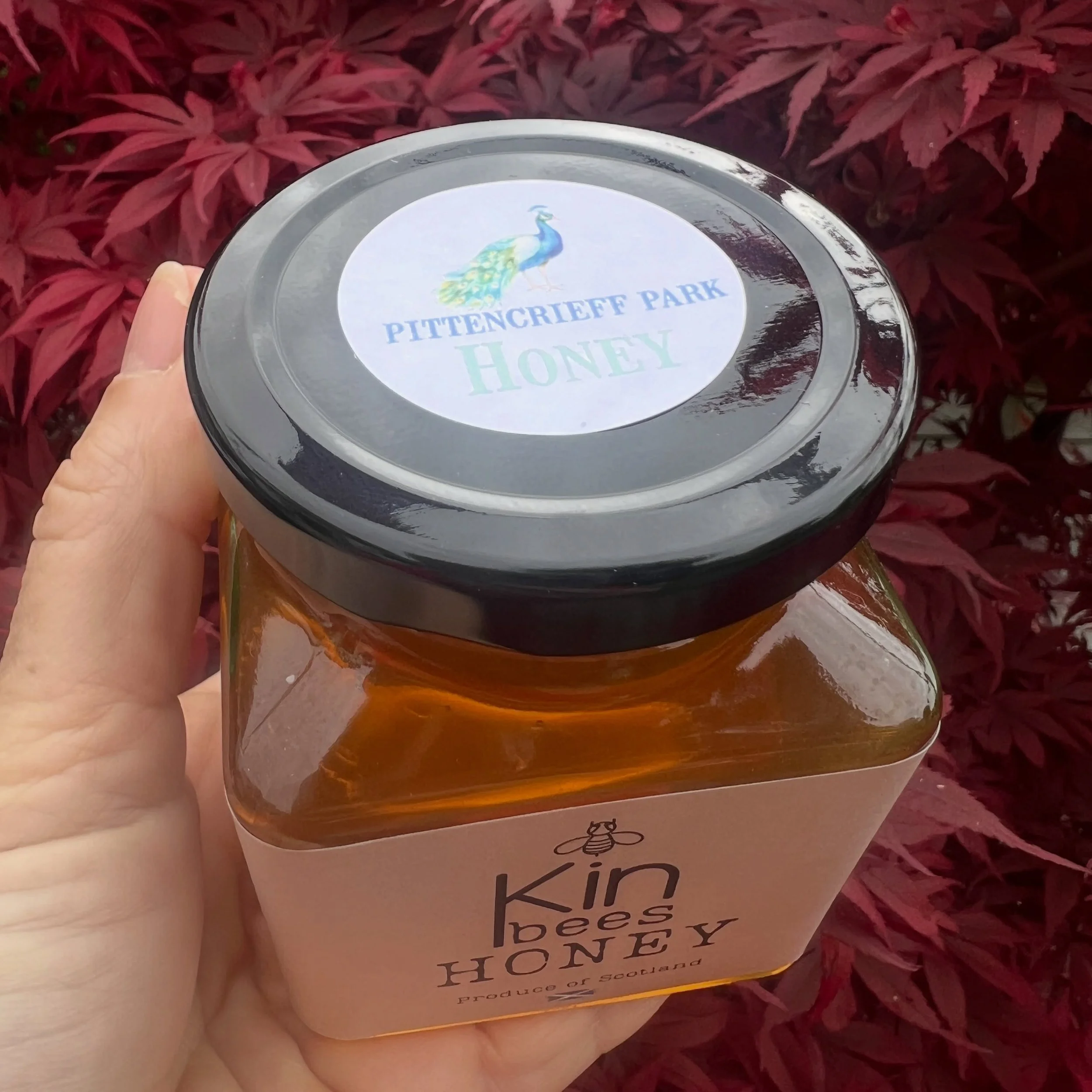 Our small batch of Pittencrieff Park honey sold out in 20 minutes so apologies to anyone who missed out but don&rsquo;t worry &hellip; there&rsquo;s more to come next week! 

It&rsquo;s much darker than our usual spring honey but with the crazy huge 