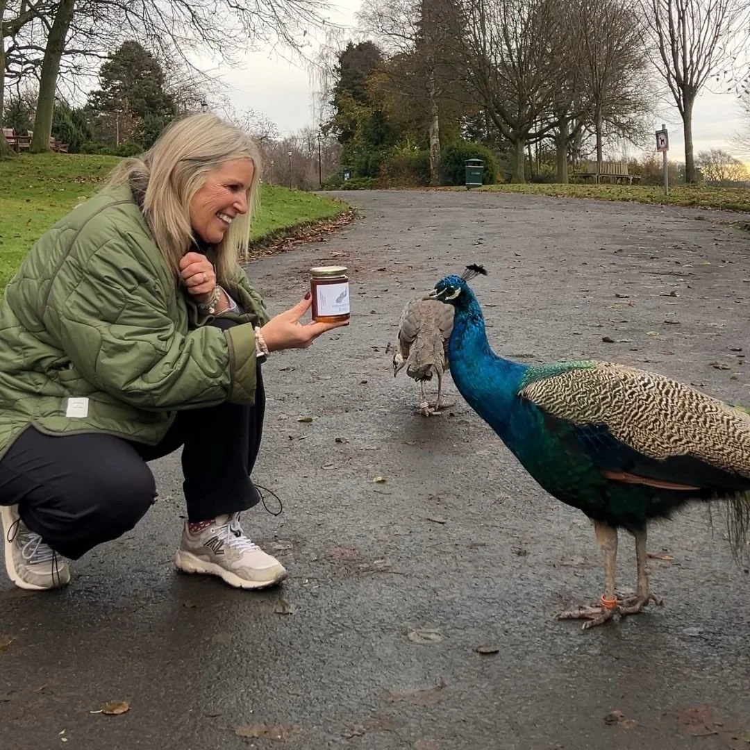 Untitled design (1).jpg