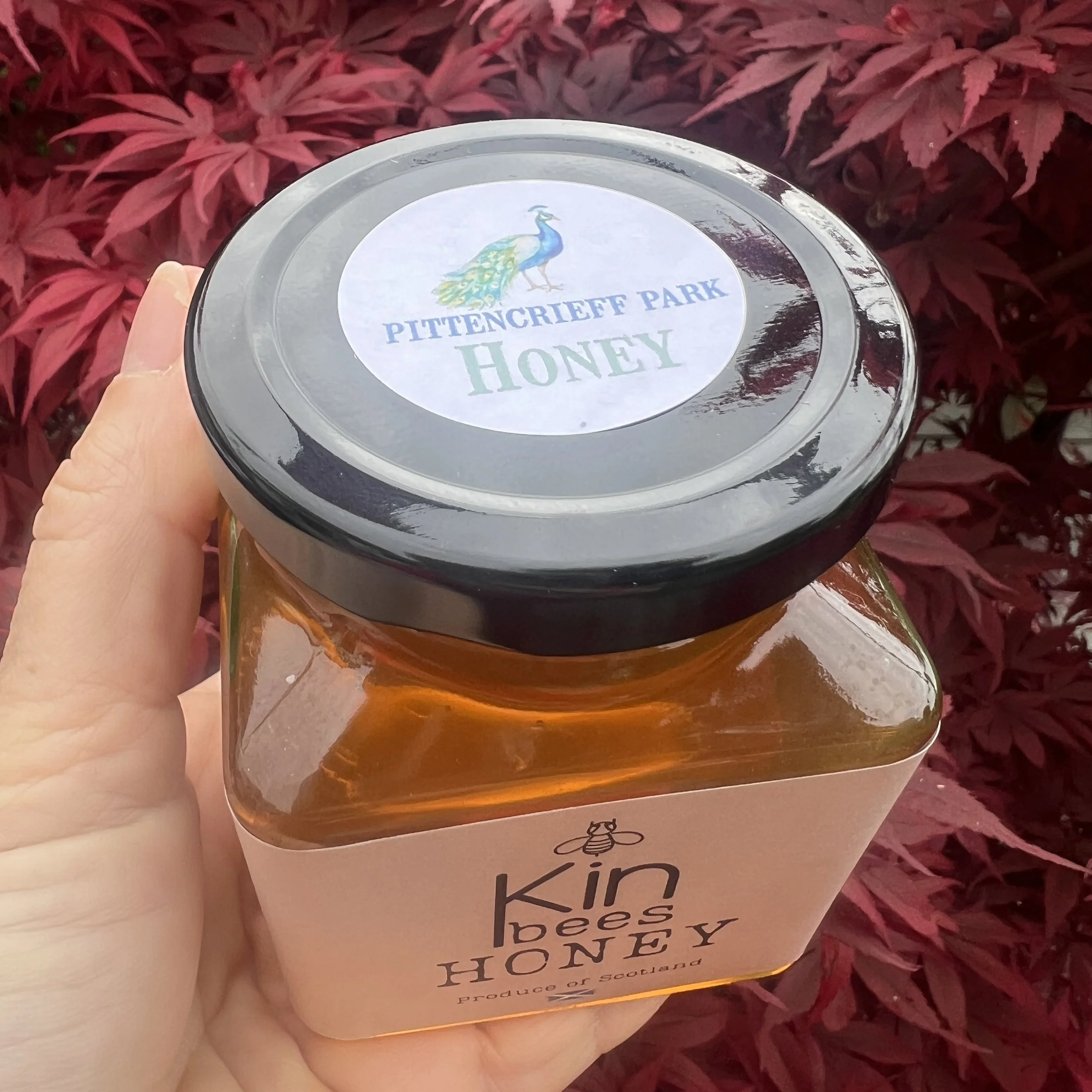 Local Raw Honey