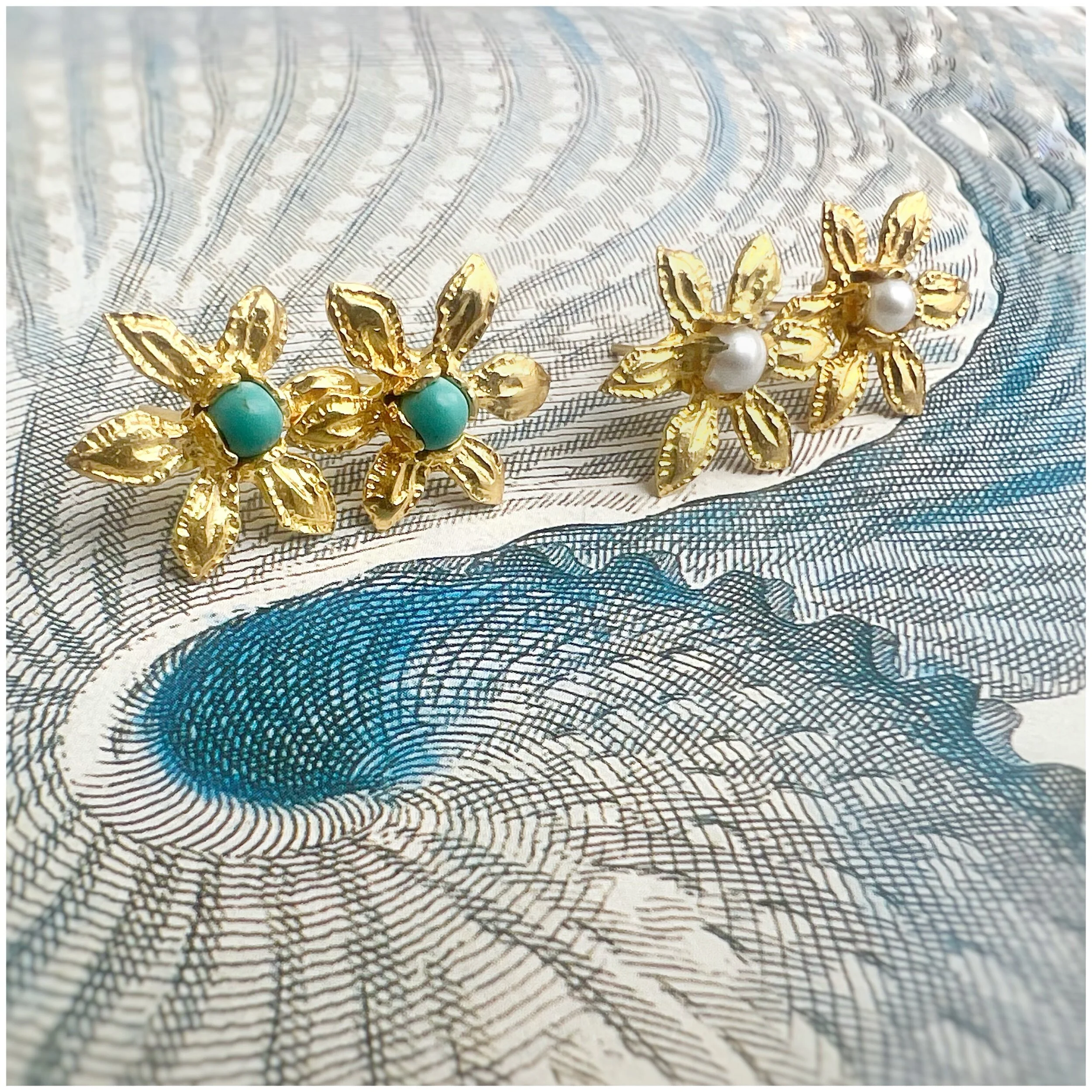 3C36D5BE-86F8-4EEC-8E8C-208DF8505082