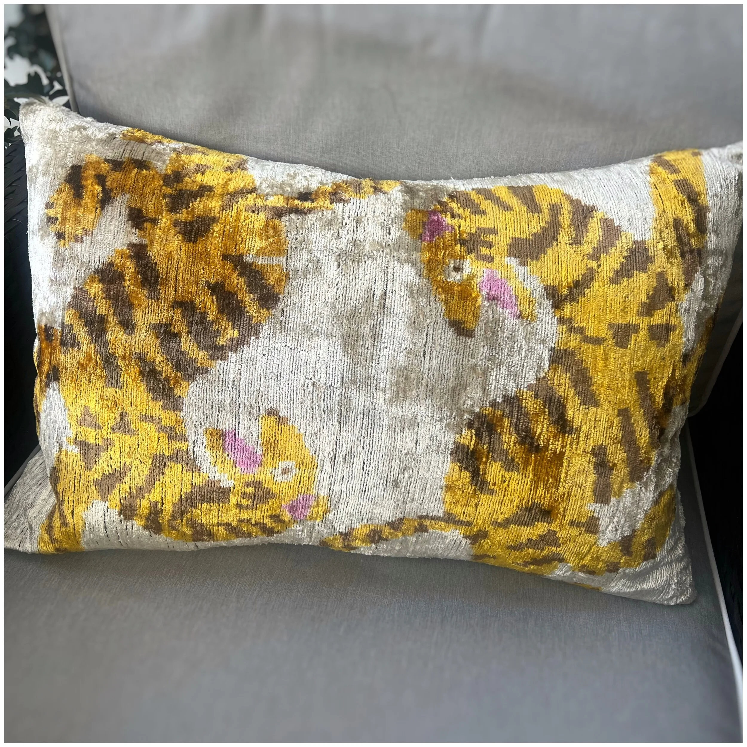 2AB7E571-5783-4225-B56B-9A57879A8EA4