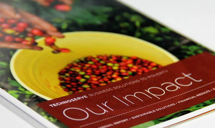 technoserve_01_annualReport.jpg
