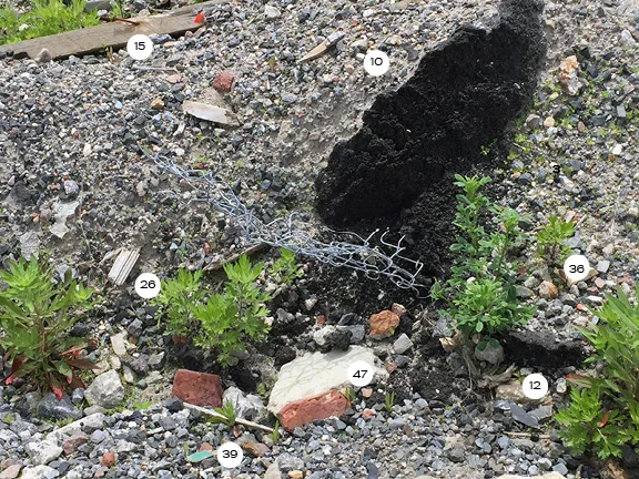 Relics-in-the-Construction-of-Place11.jpg