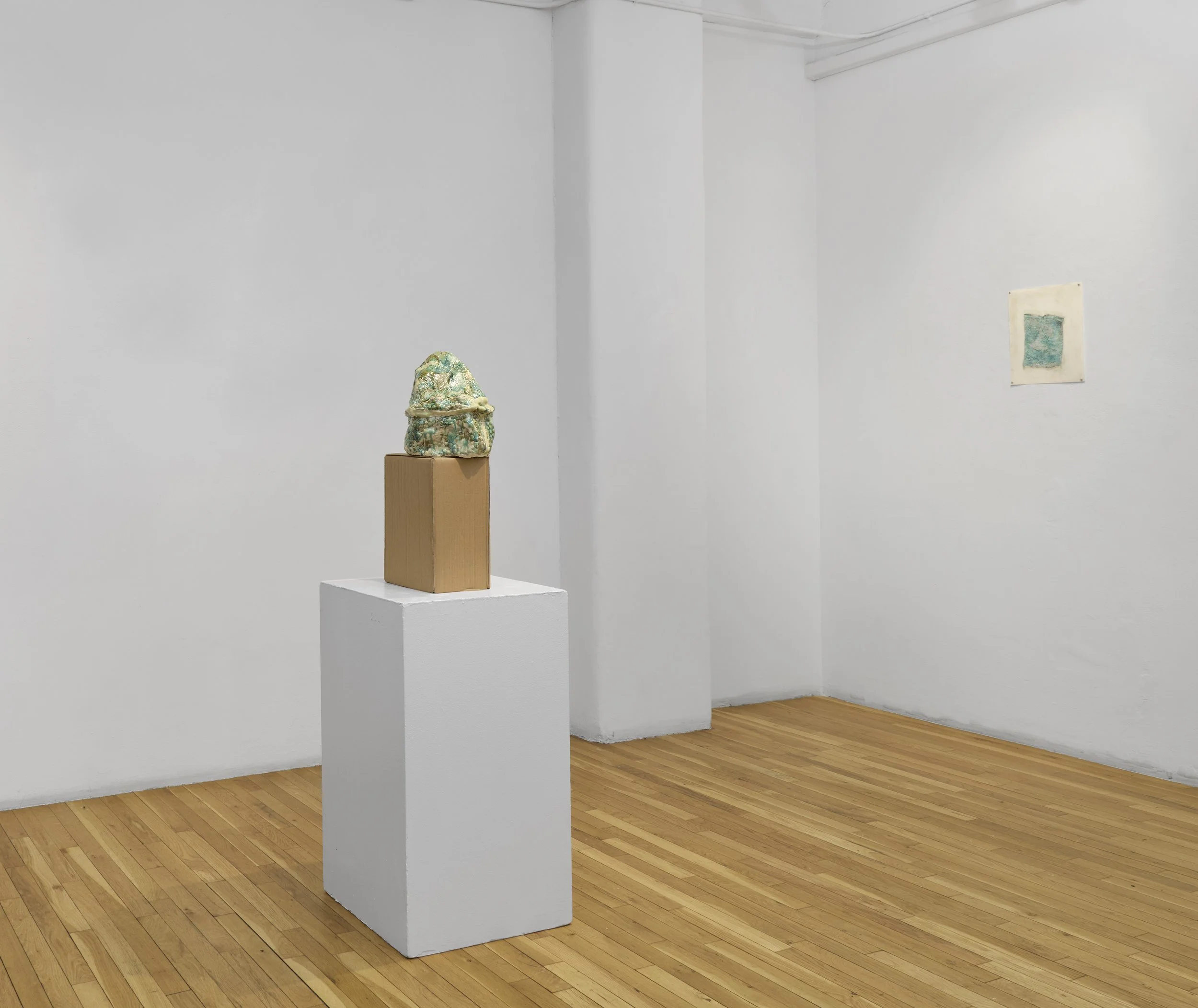 Primeval Ground_2936_MT_SM.jpg