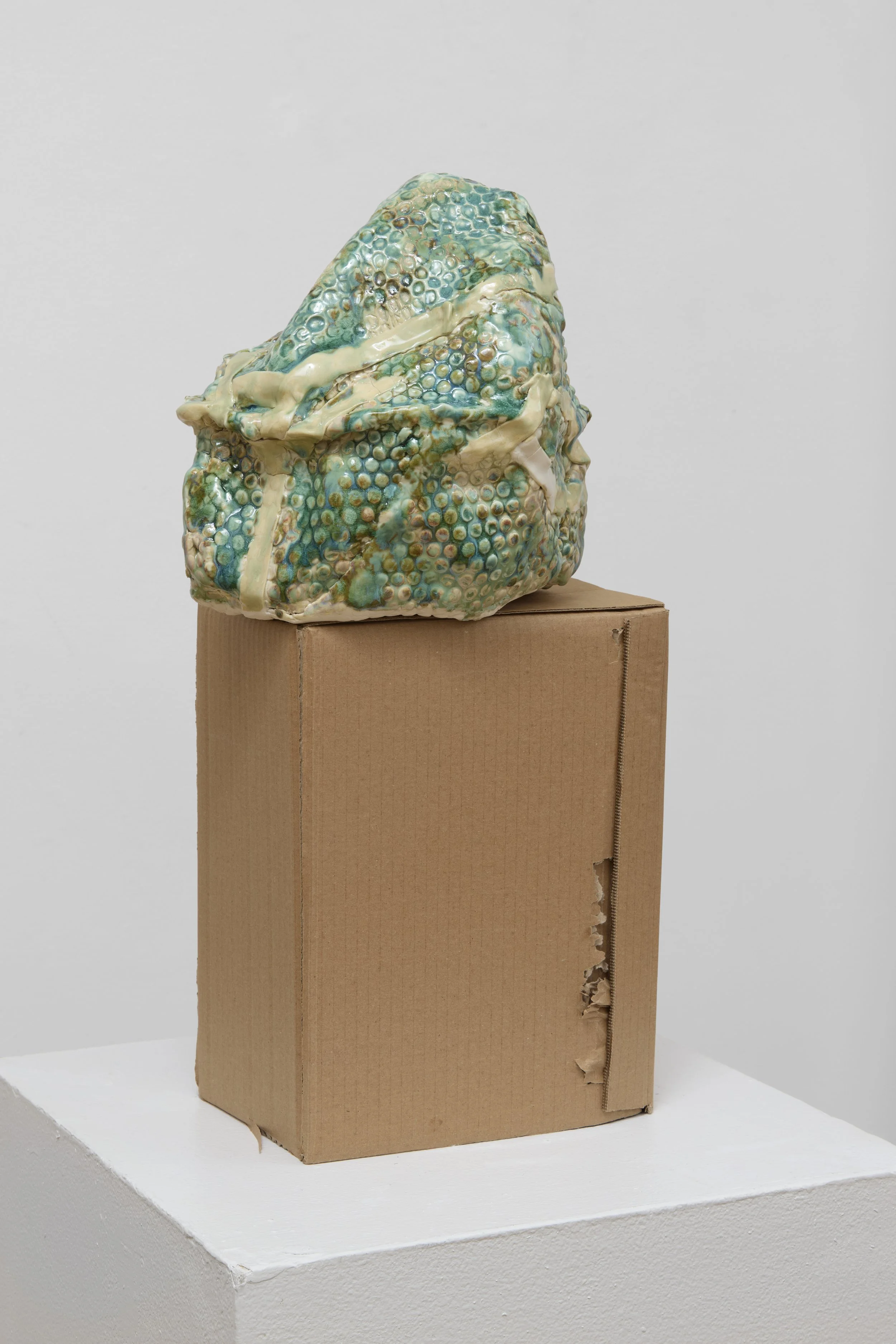 Primeval Ground_2929.jpg