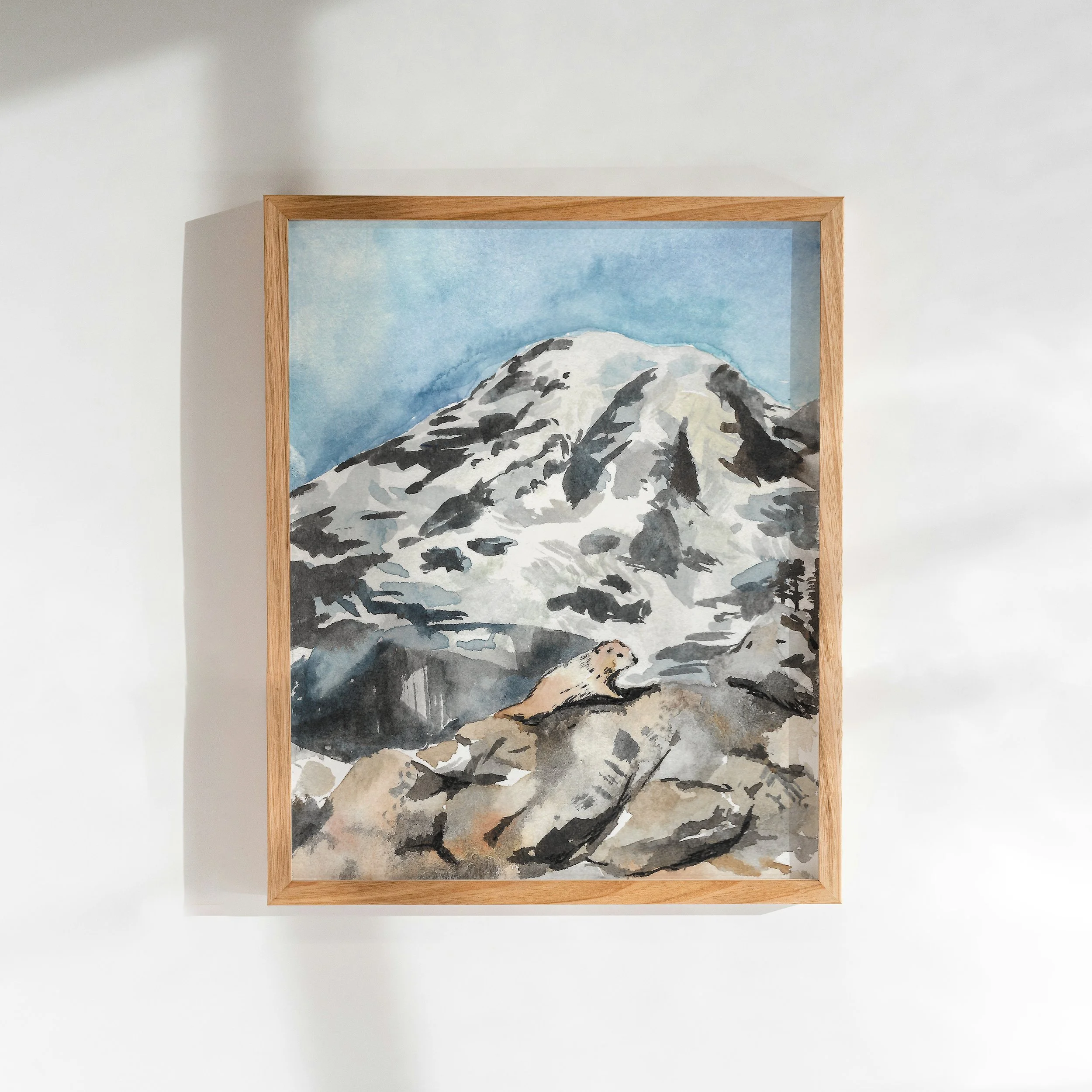 marmot-rainier-framed.jpg