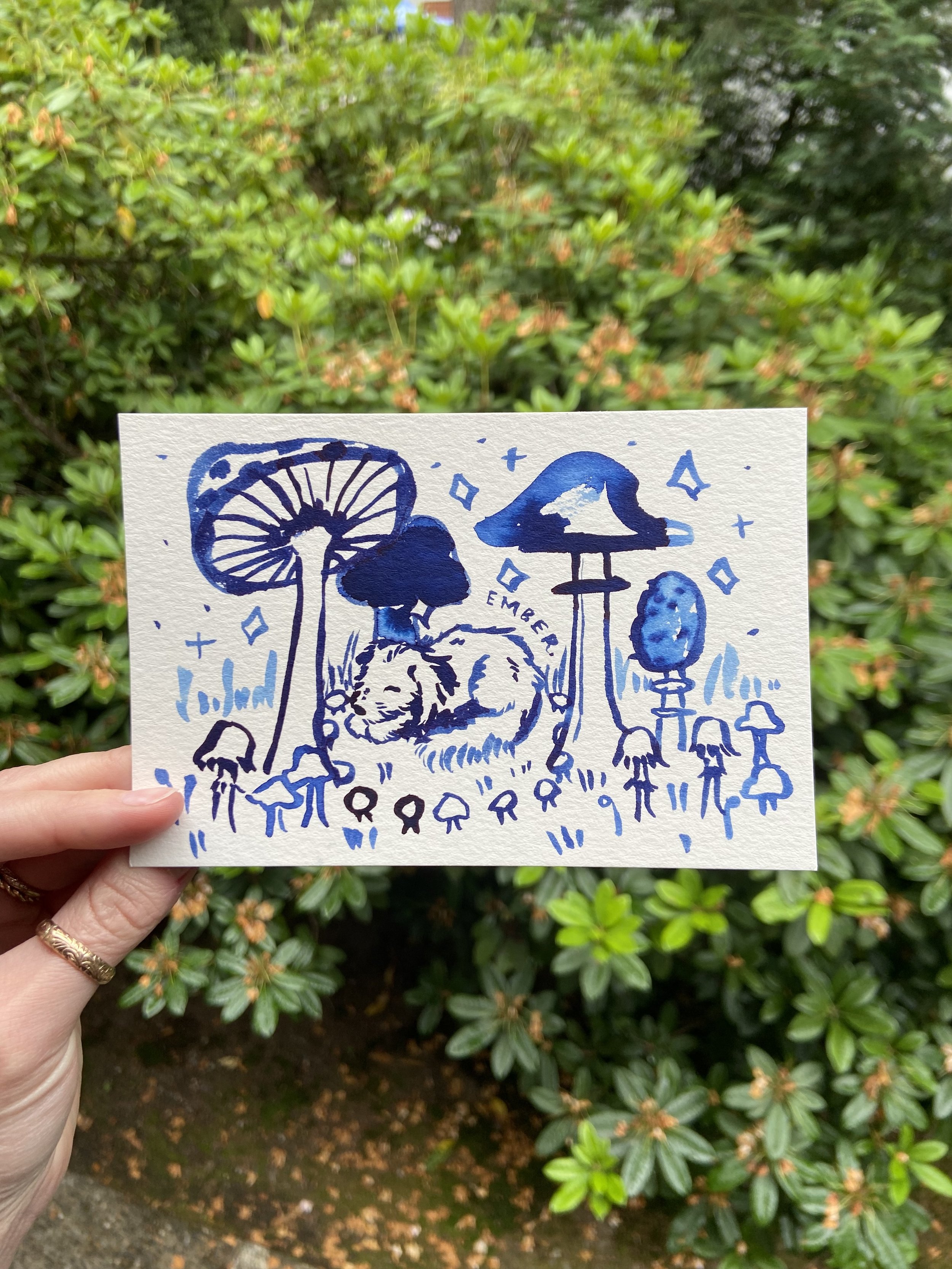 postcard-pet-1.jpg