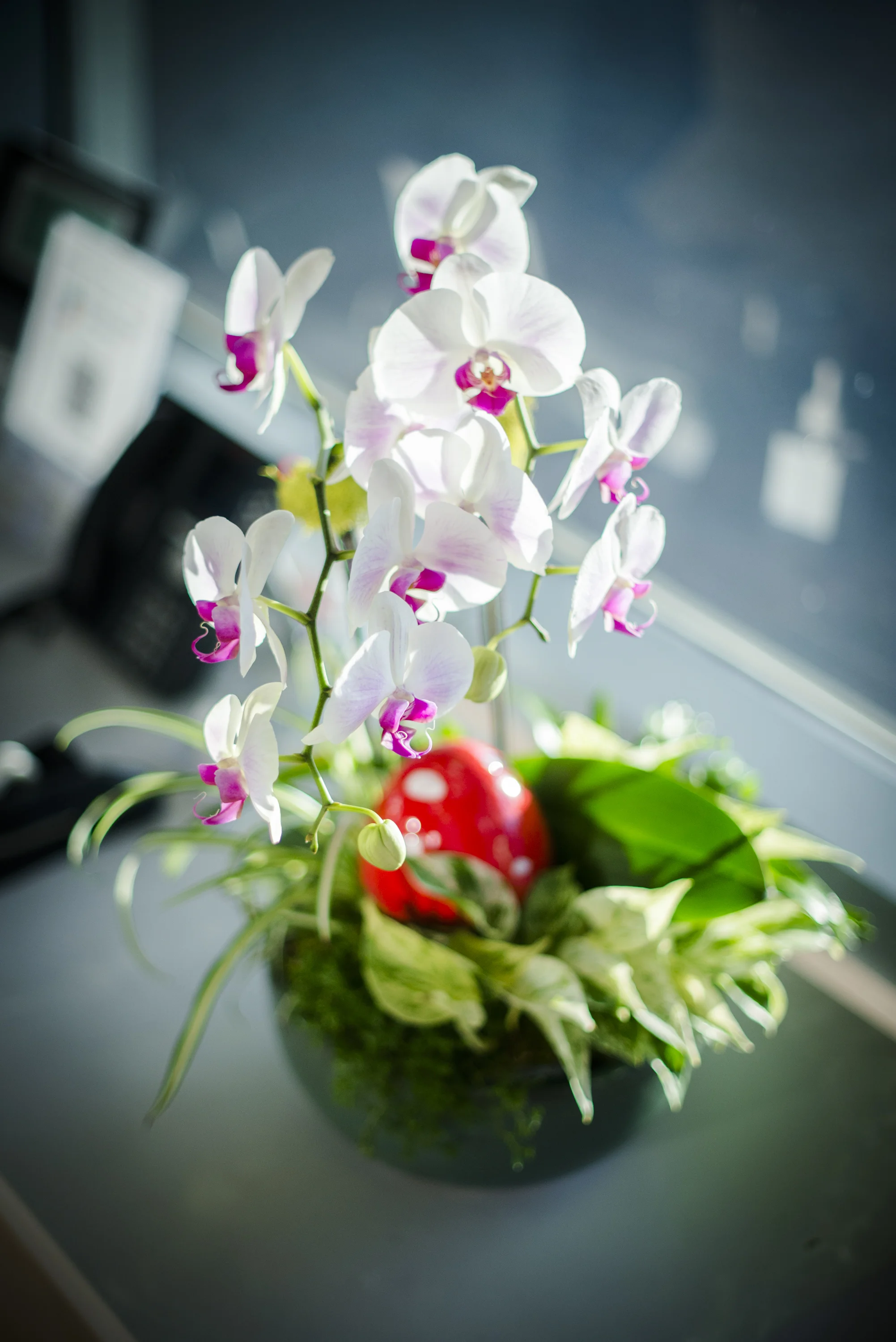 AddLife-Floral-Bowls-015.jpg