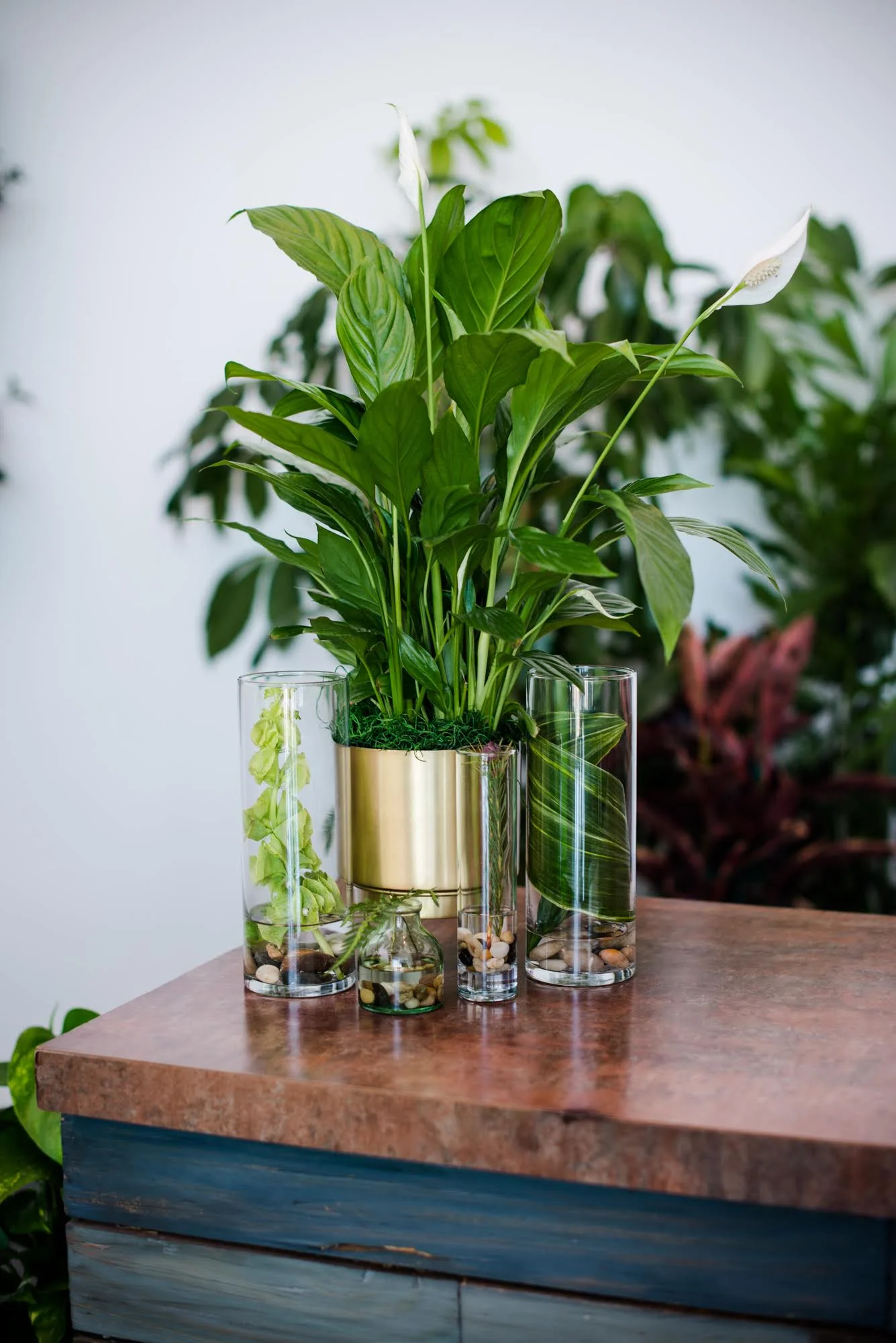 AddLife-Decor-004.jpg