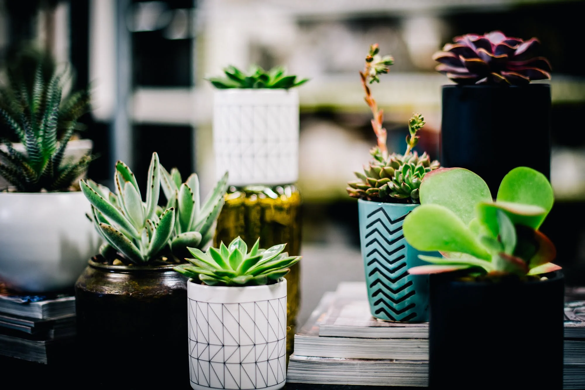 AddLife-Decor-009.jpg