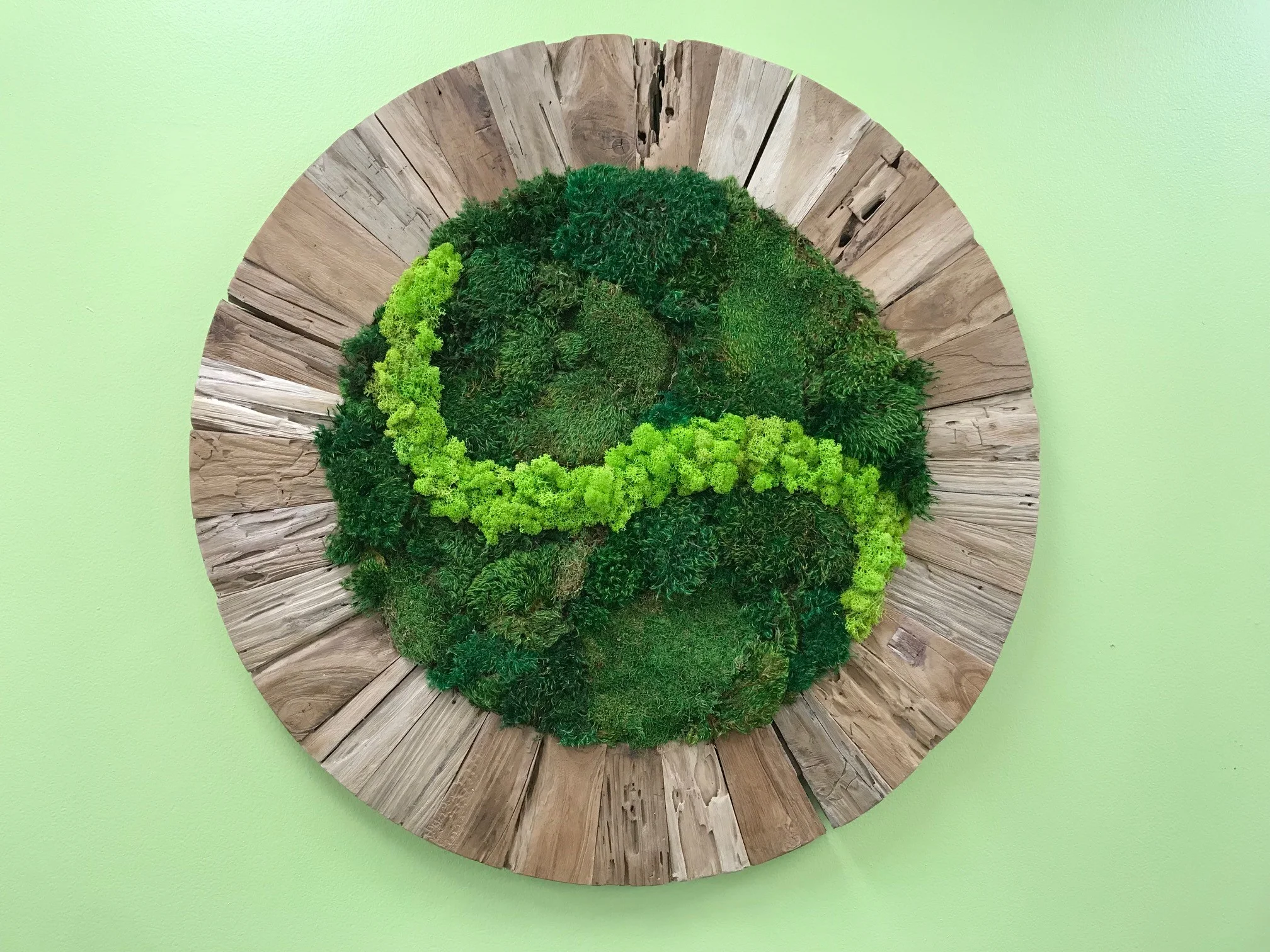 Moss wall in beech frame.jpg