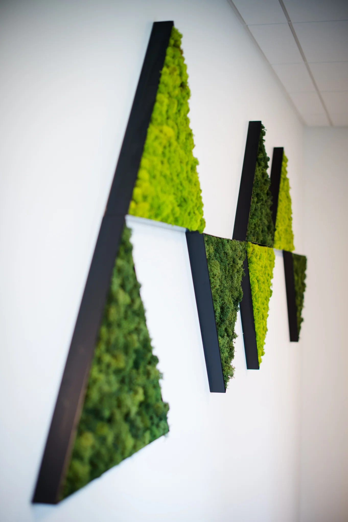 AddLife-Moss-Walls-004.jpg