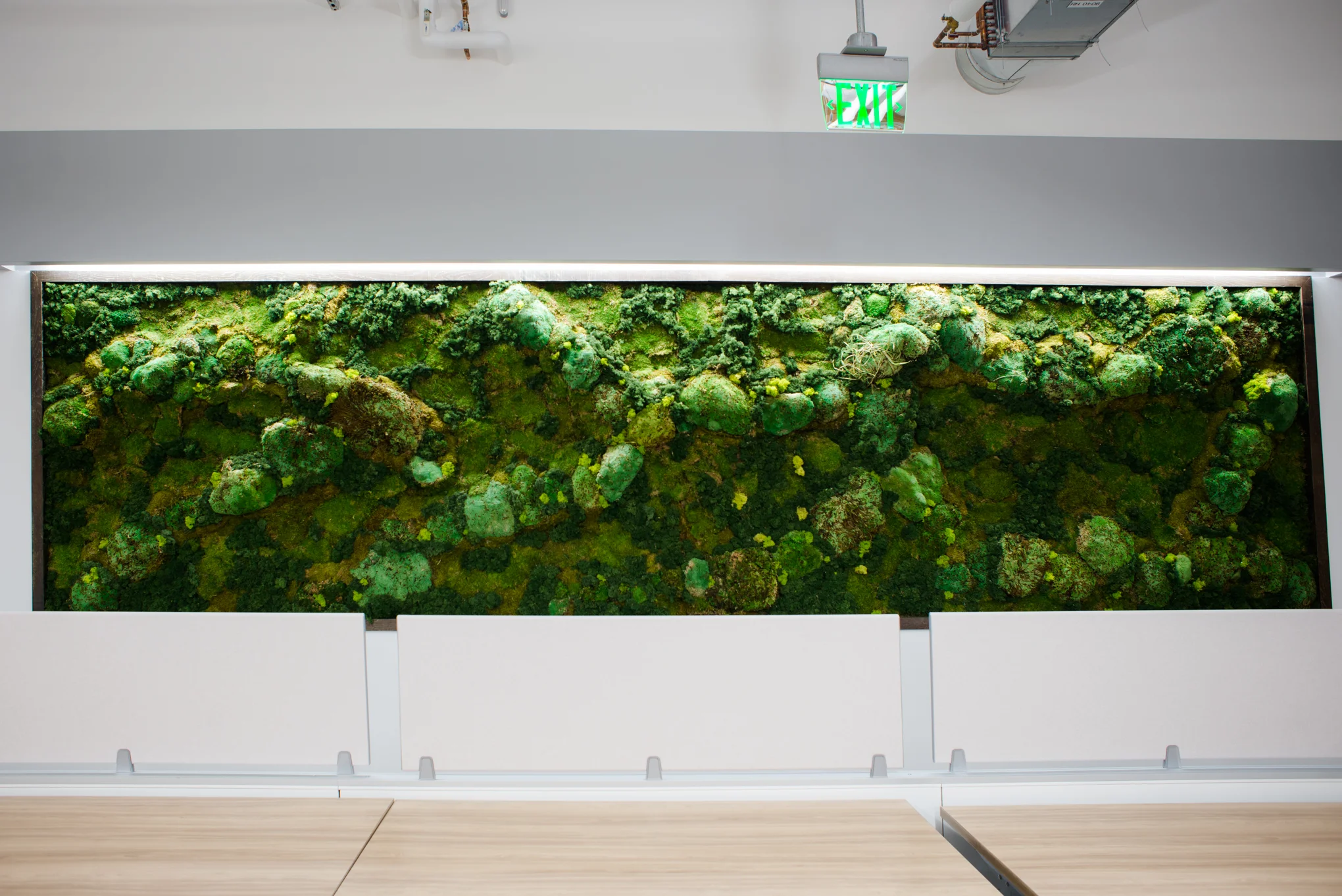 AddLife-Moss-Walls-007.jpg