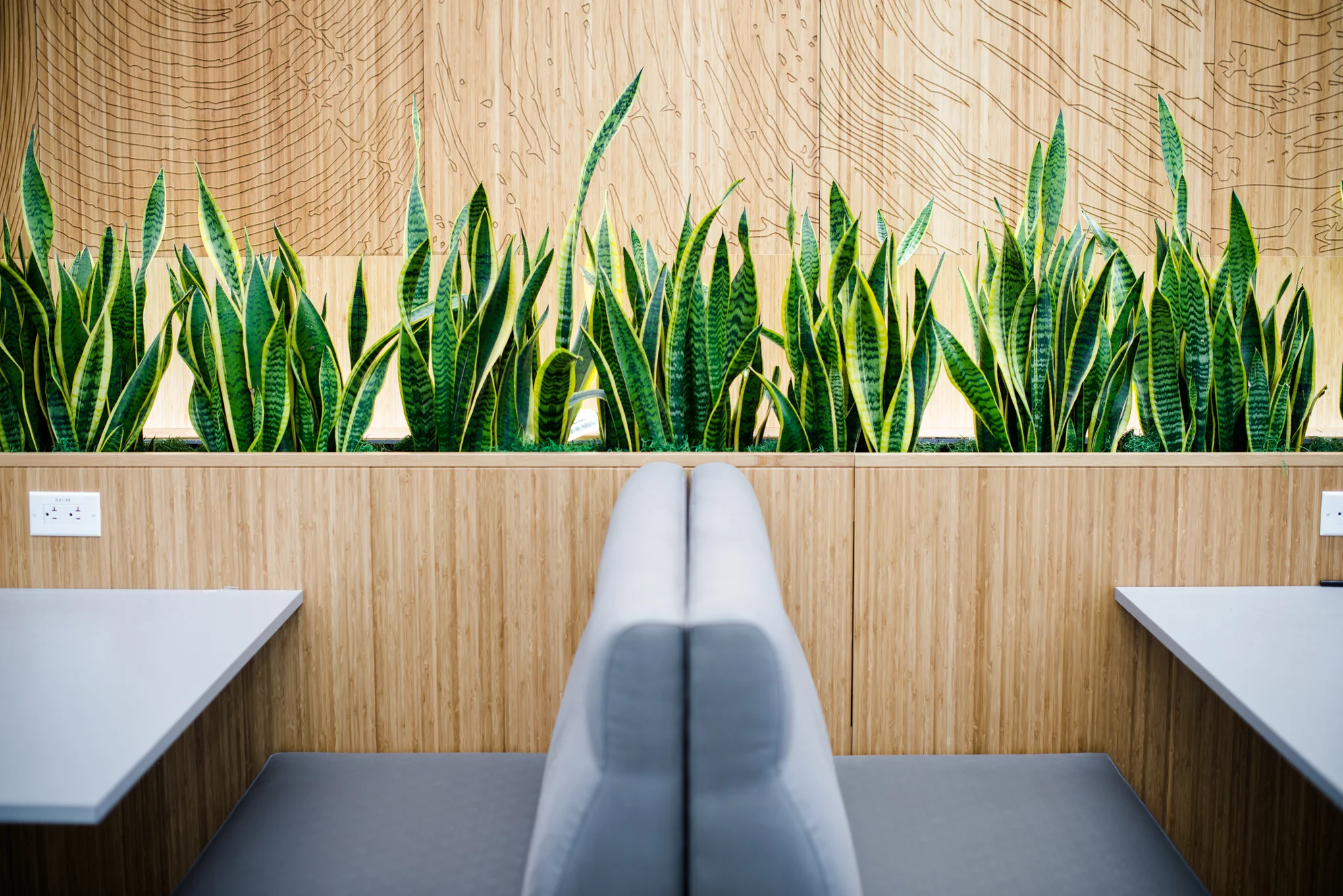 AddLife-Interior-012.jpg