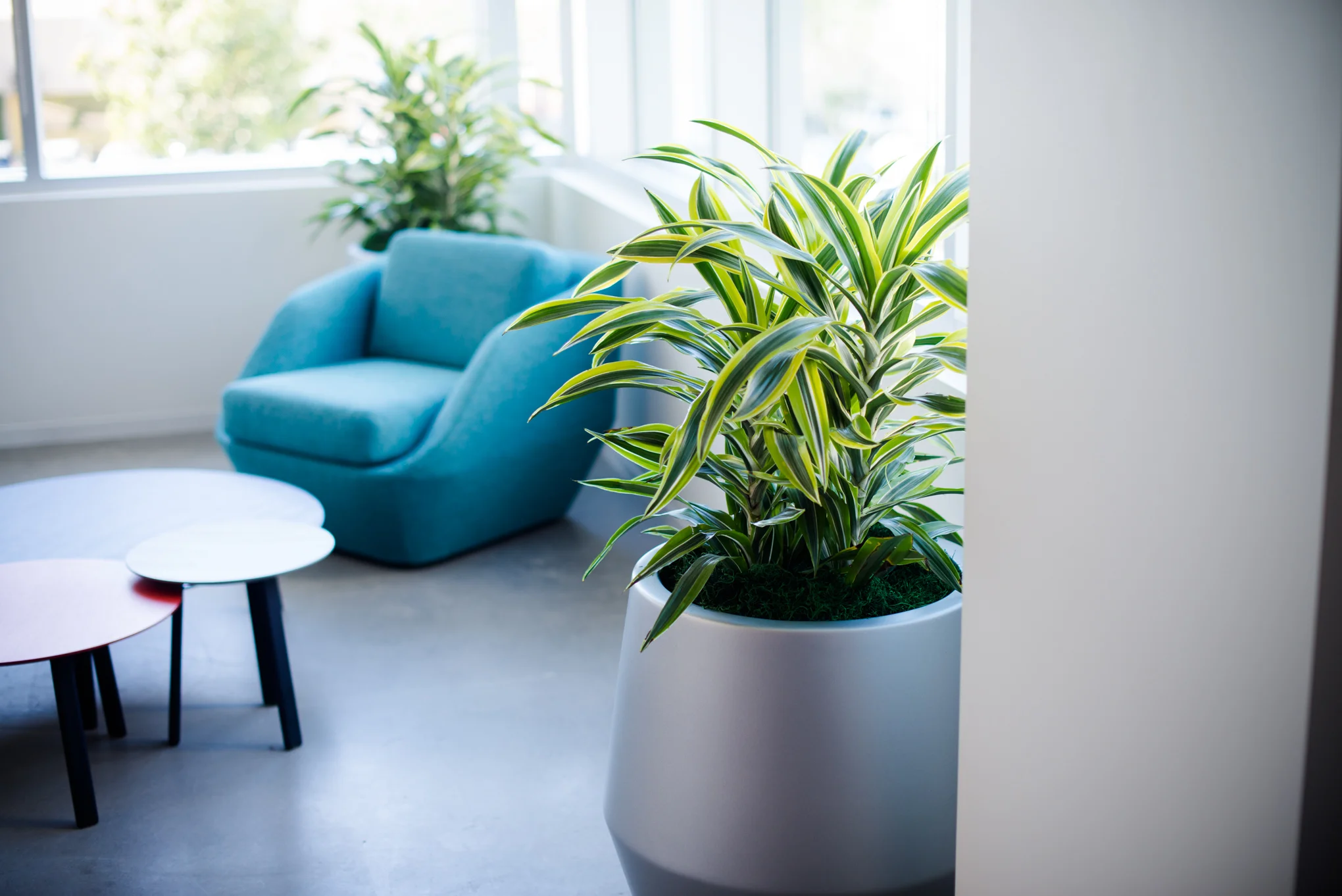 AddLife-Interior-019.jpg