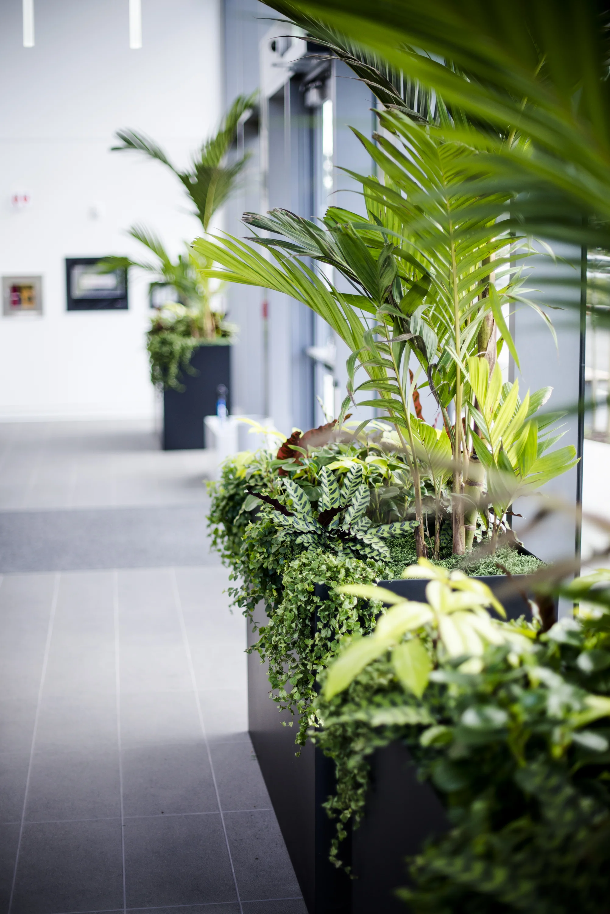 AddLife-Interior-034.jpg