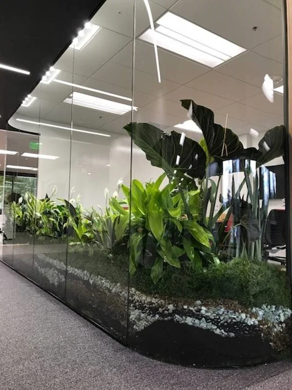 You Tube Atrium.jpg