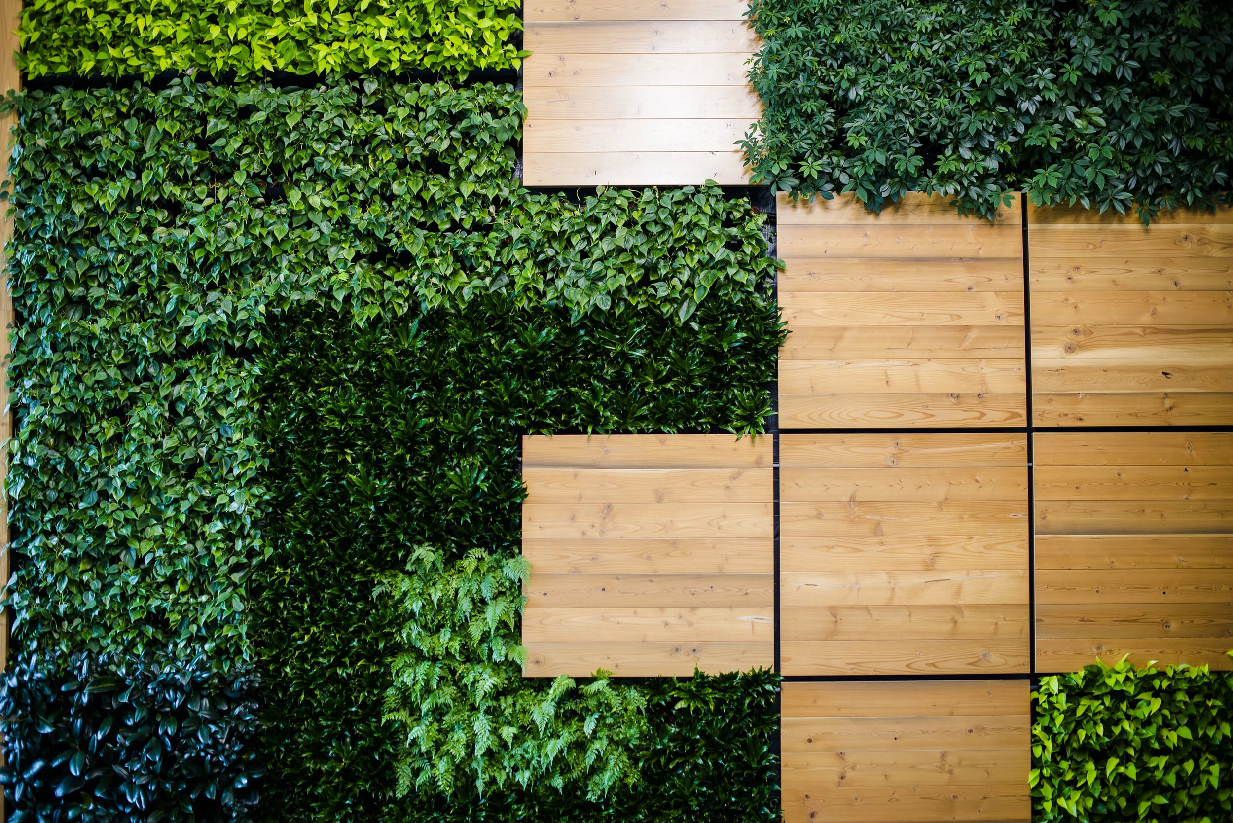 AddLife-Greenwalls-001.jpg