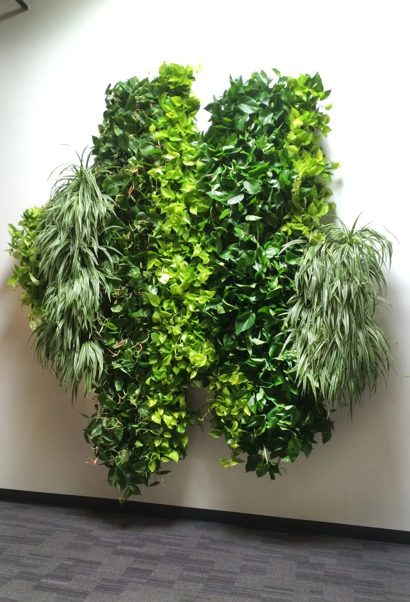 AddLife-Greenwalls-004.jpg