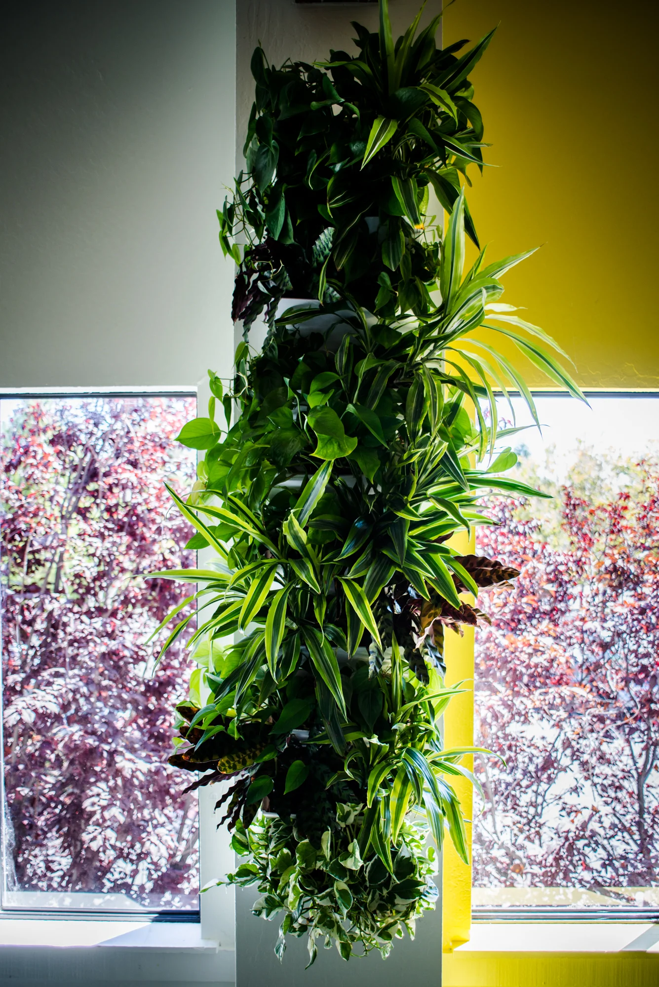 AddLife-Greenwalls-009.jpg