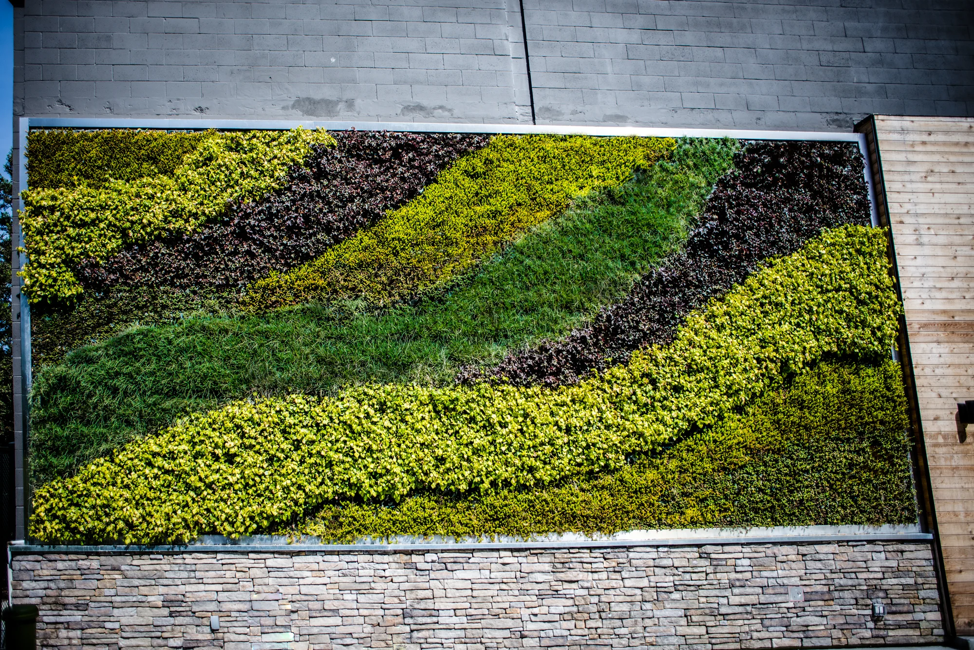 AddLife-Greenwalls-018.jpg