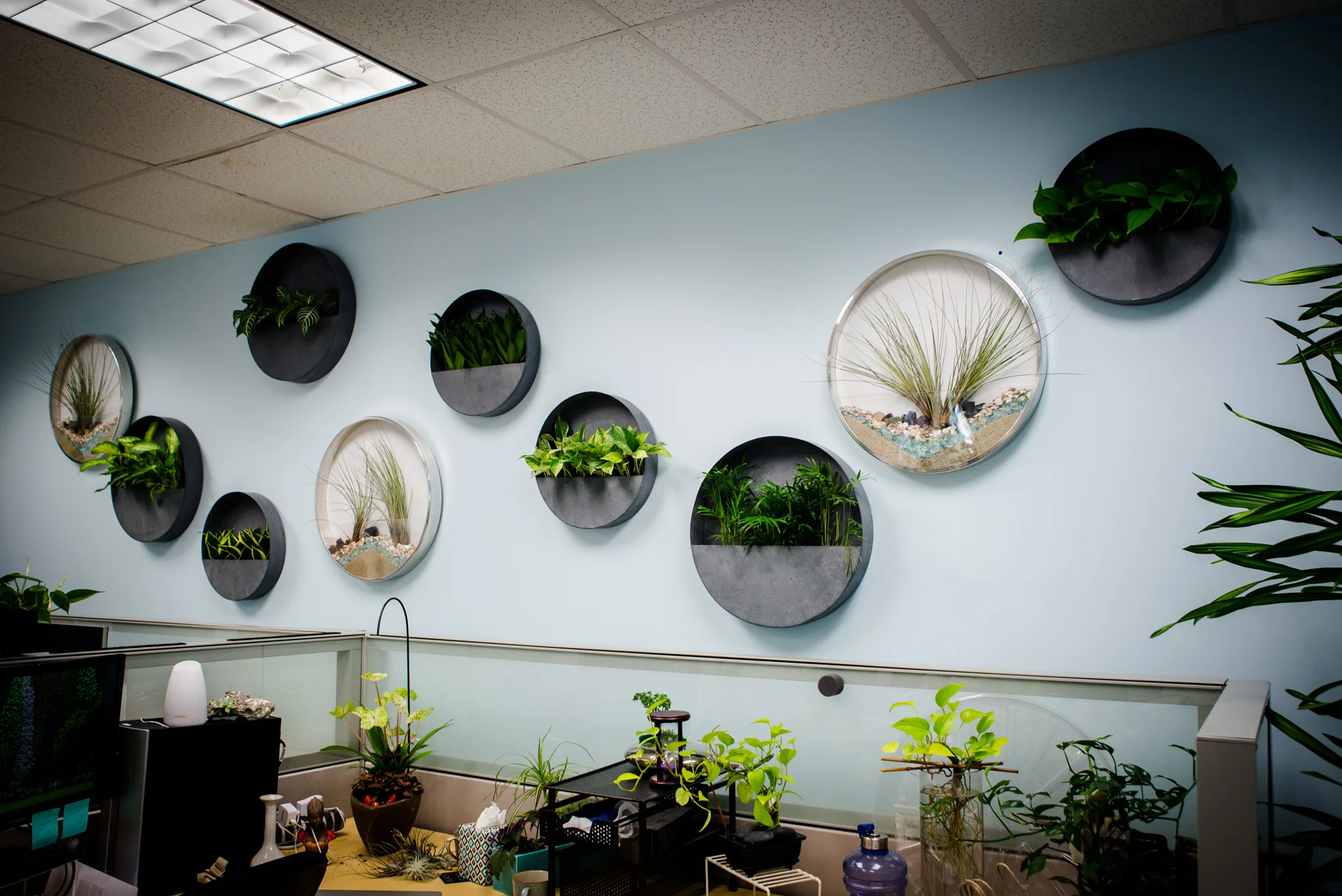 AddLife-Interior-052.jpg