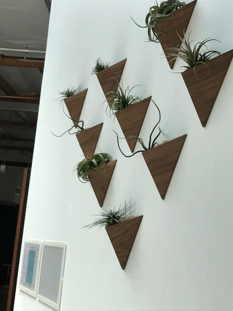 Wooden Triangular Planters.jpg