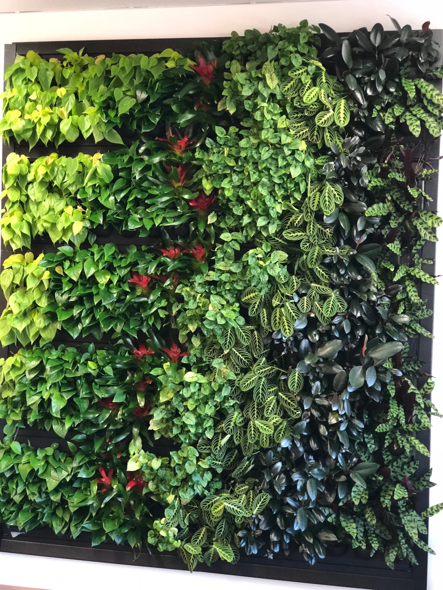 AddLife-Greenwalls-020.jpg